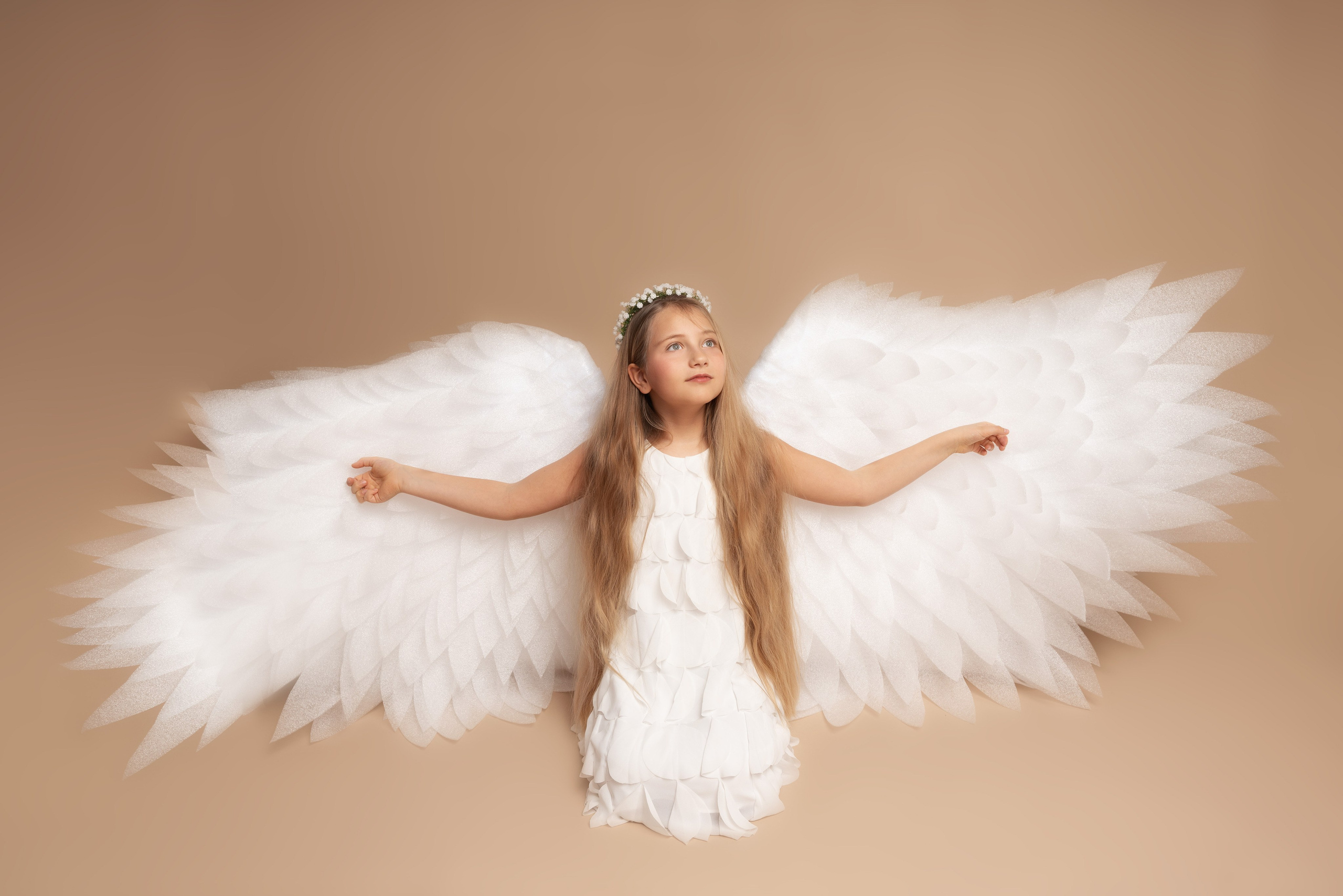 handgefertigte Flügel als Studio-Requisiten