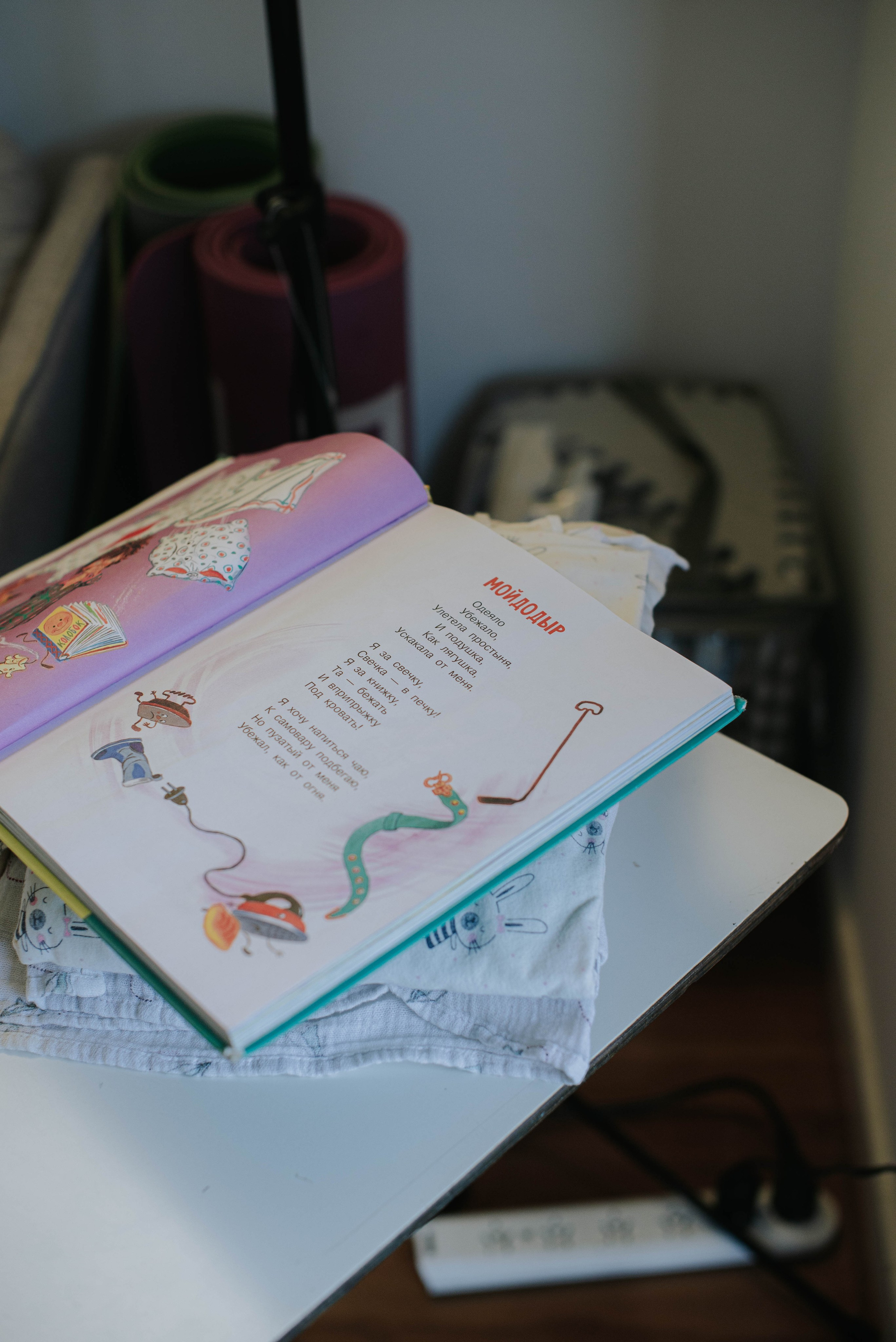 Children’s Book Club. Moydodyr. Photographer @elmirkami in the city of Buenos Aires