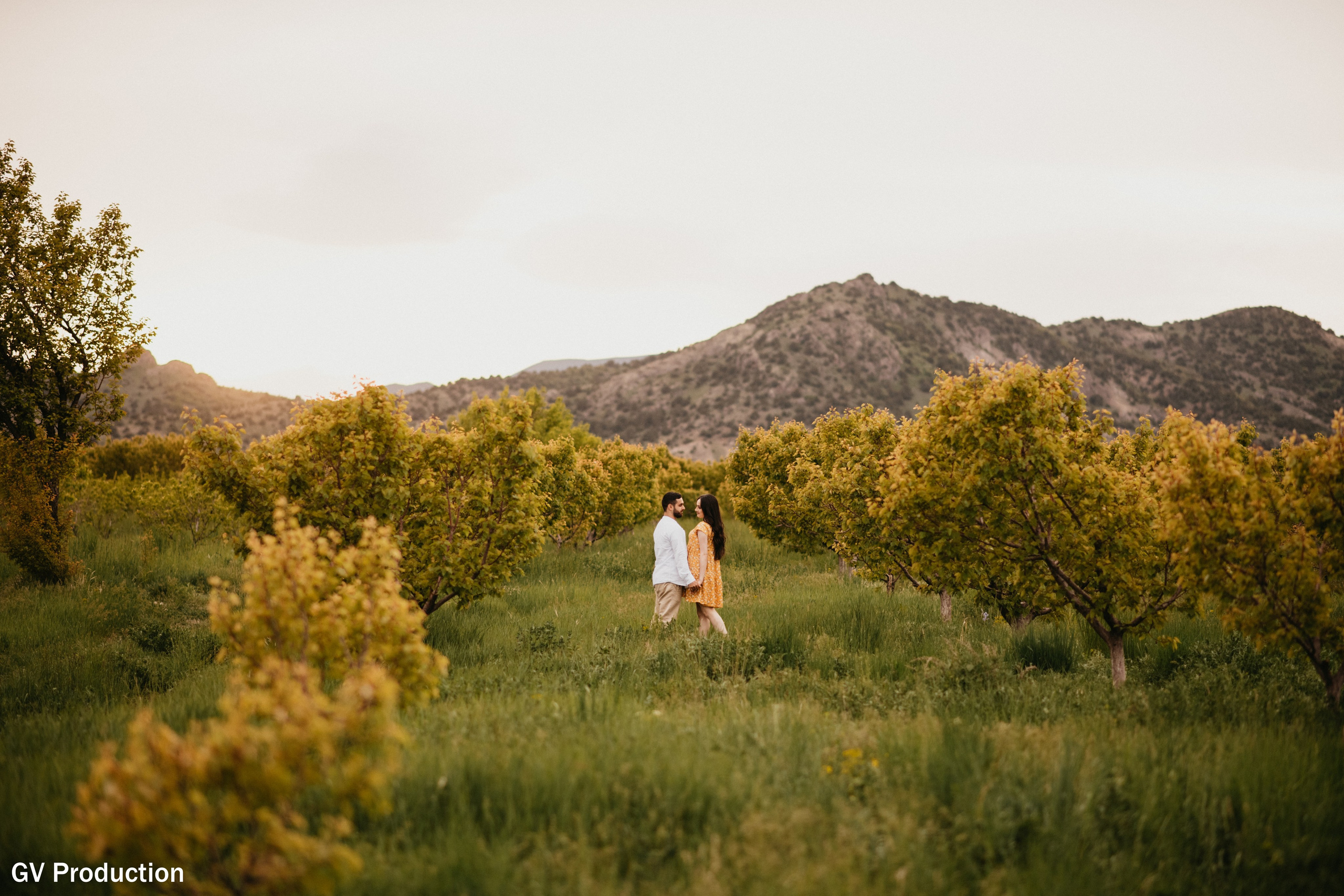 Ar & Lilit (pre Wedding). Wedding photos and video shooting in Armenia and all over the world!!! Photographer in Yerevan