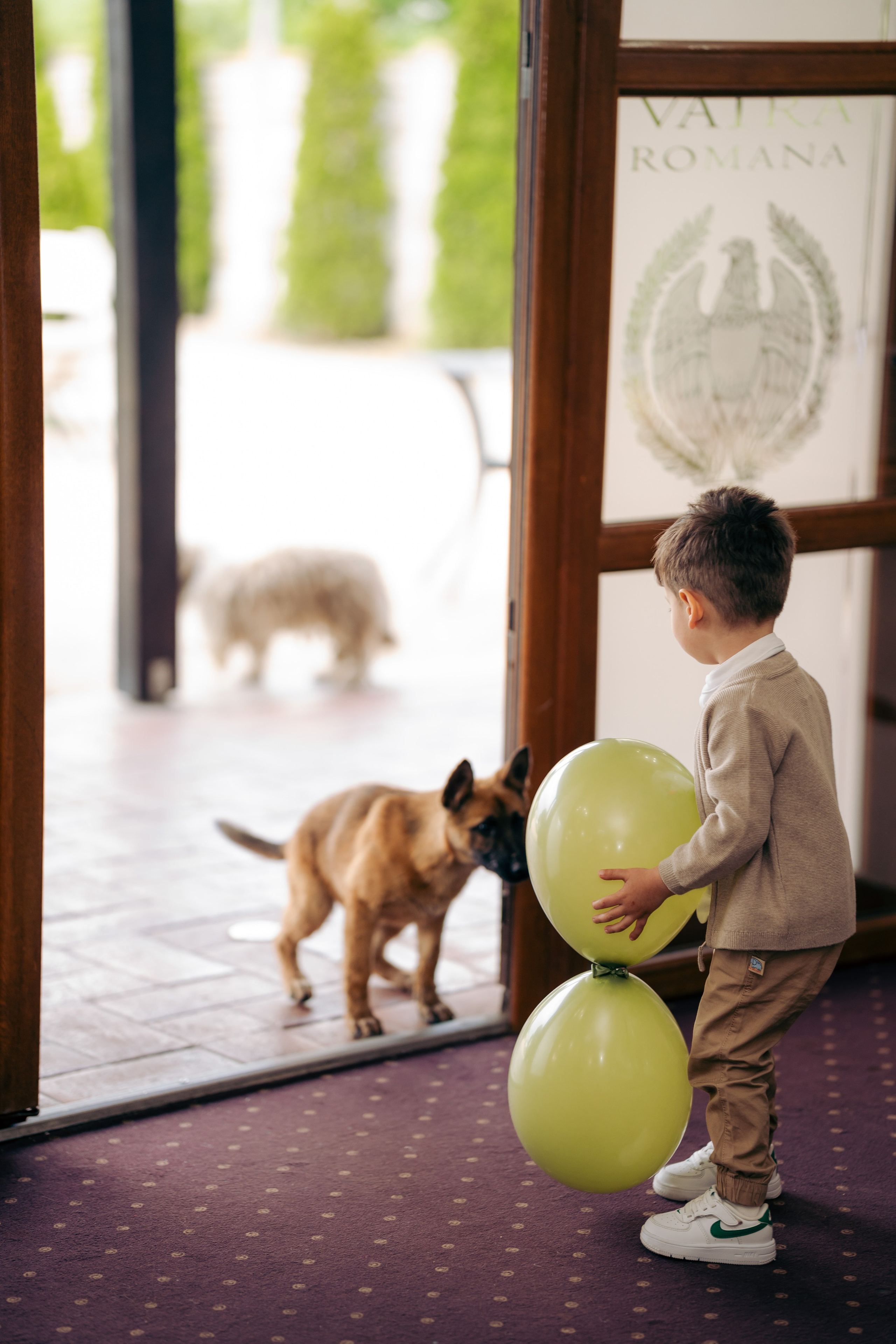 Tudor. CC Photography \ Fotograf Profesionist \ Evenimente