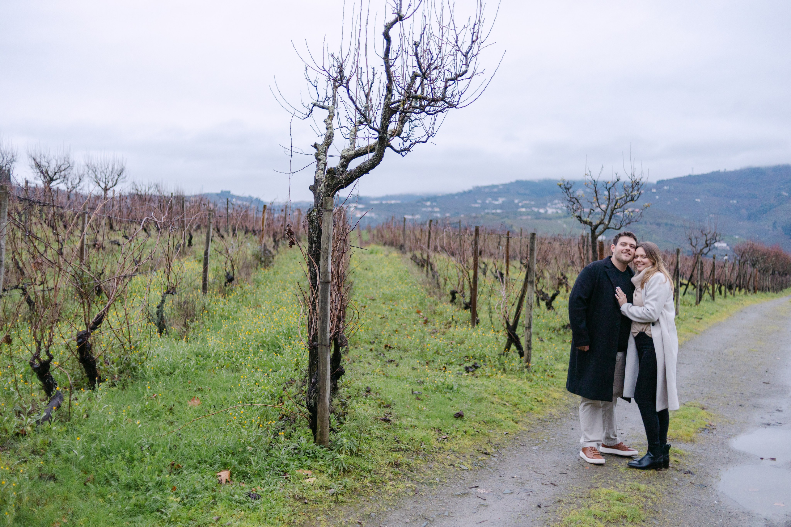 Proposal Sandro — Quinta Pacheca. Wedding and couple photographer in Porto