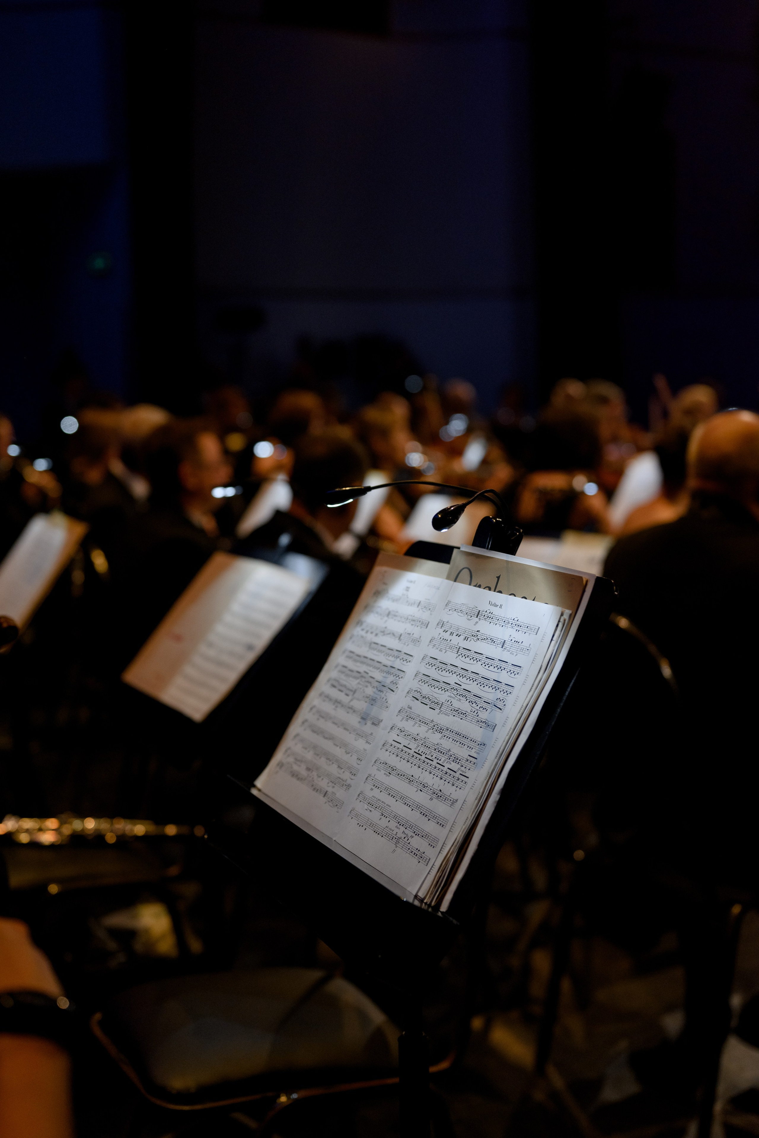 Premia “Nomer Odin” 2022. Destination Wedding photographer Italy, France, Germany, Spain, Poland Oleg Zaicev