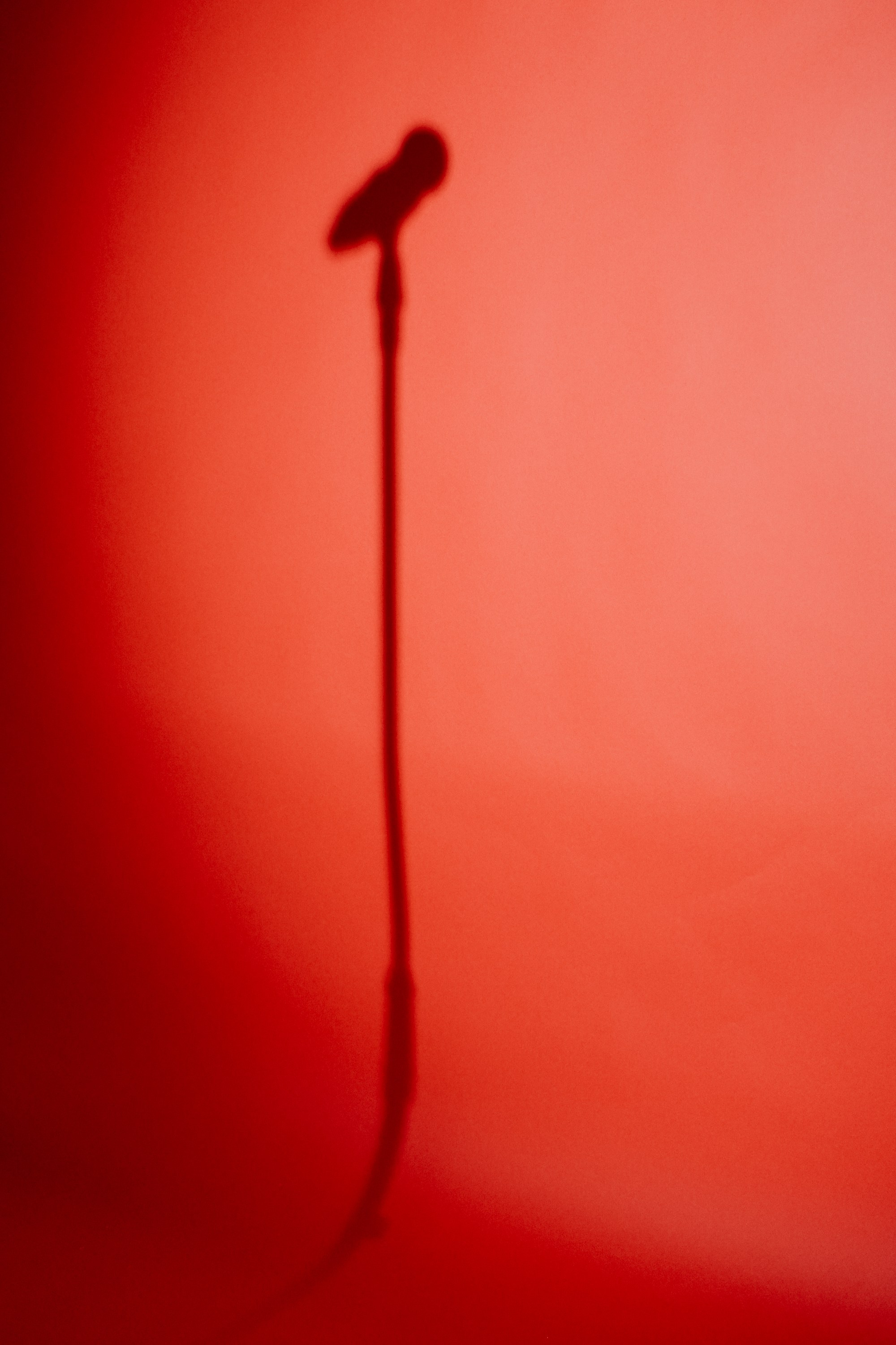 Shooting artist — Magda Stirbat. MARINABUGS