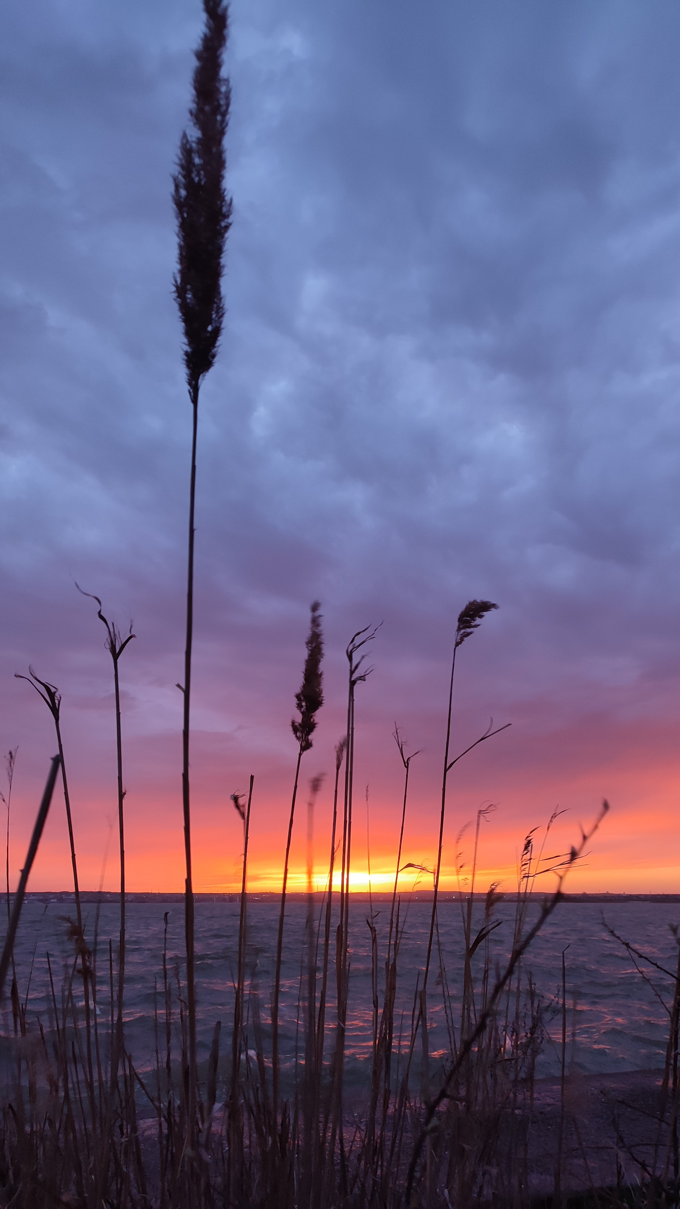 ~Peisaje~. Andreea Ivan art-Fotograf Constanta, Fotograf profesionist Constanta, Fotograf de nunta Constanta, botez, sedinte foto cu tematica, portret