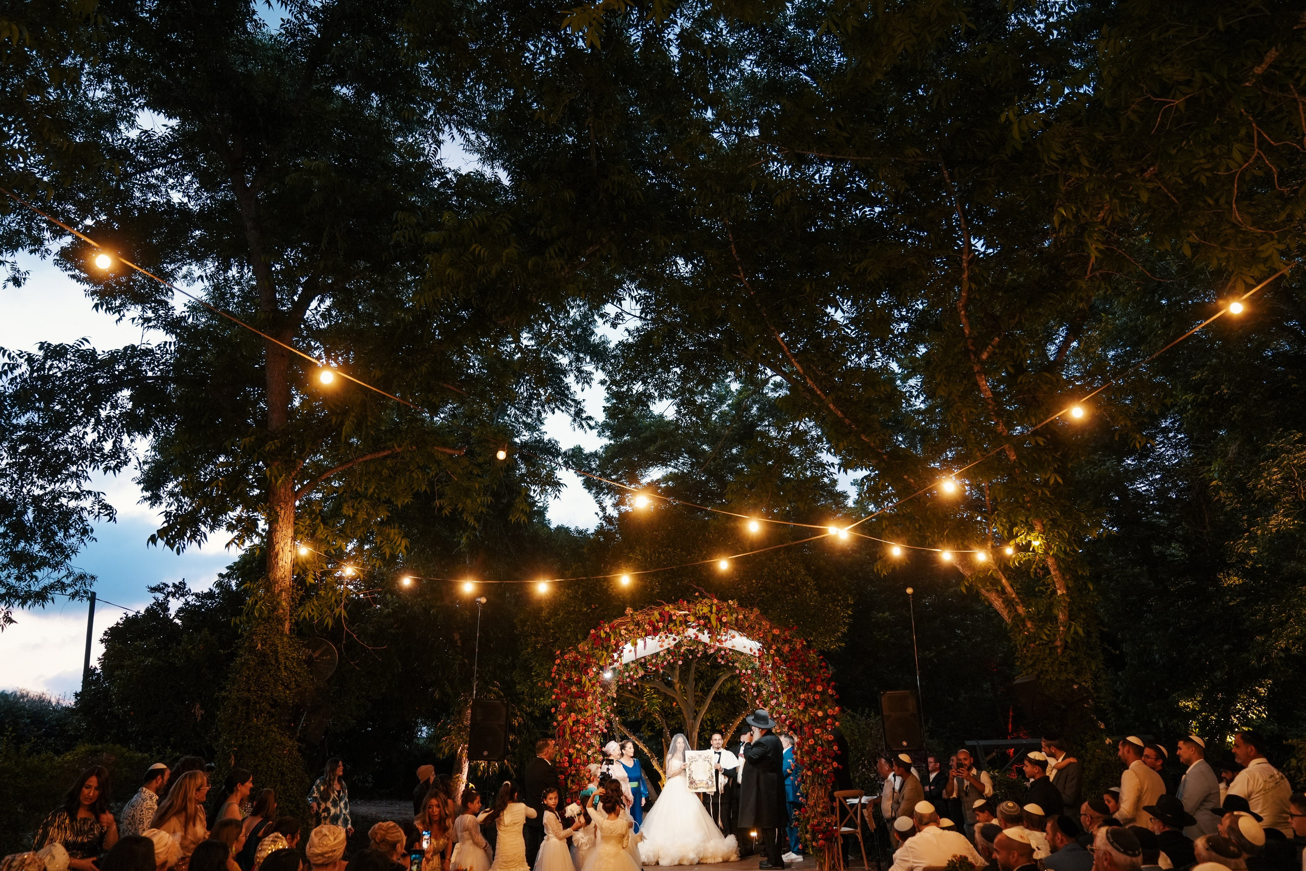 Dmitry Gorodetsky Event Photographer