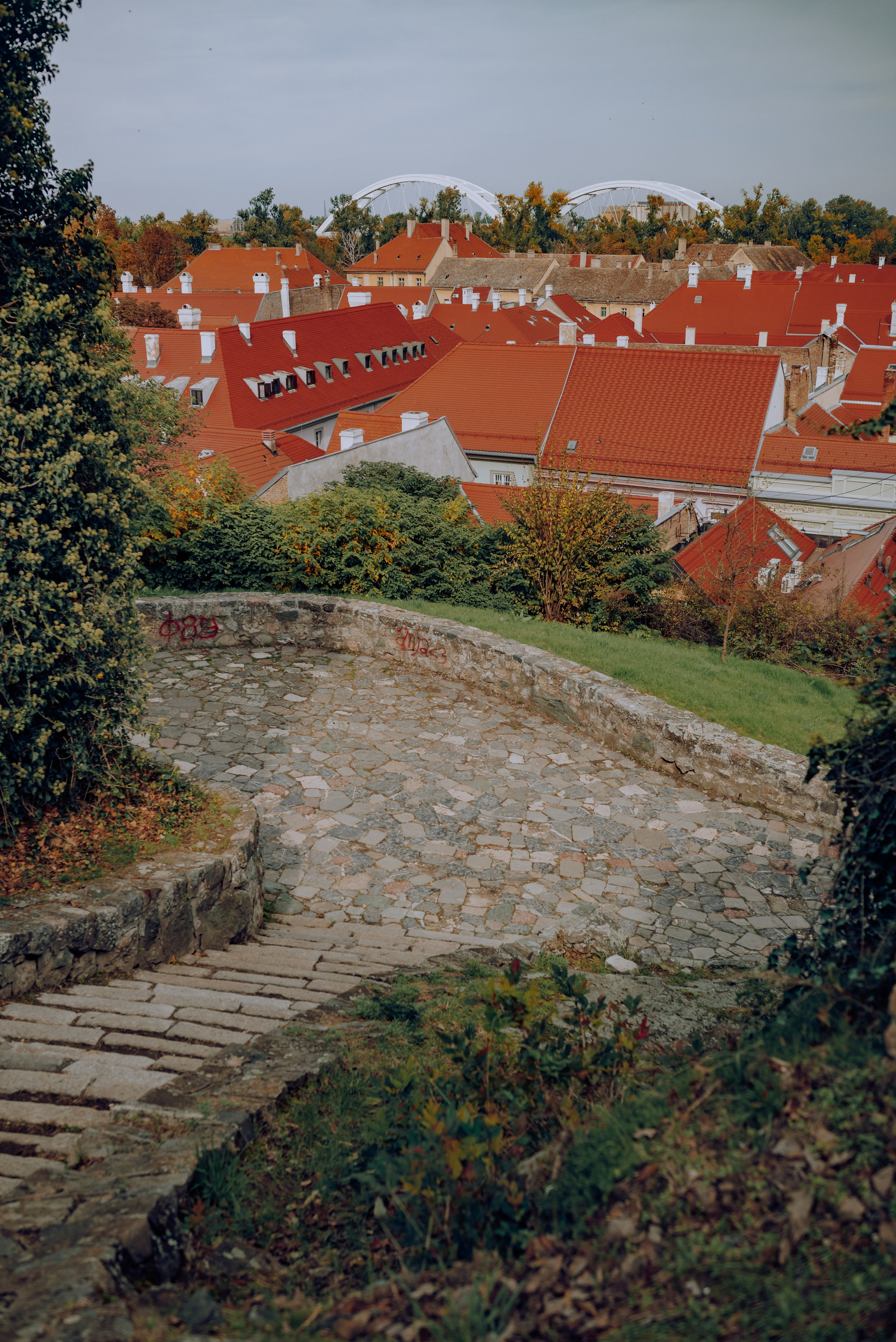 J.R.V. Семейный фотограф. Сербия. Нови-Сад. Белград