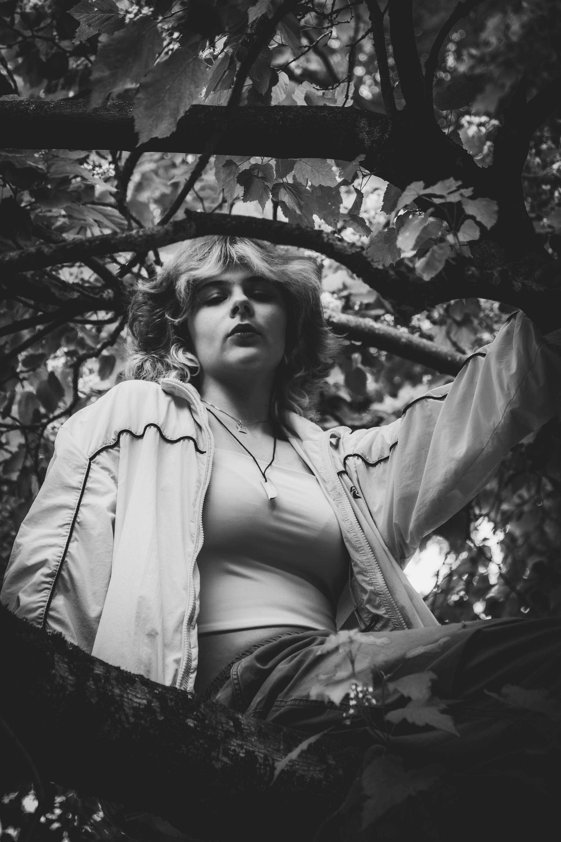 Lahe graatsia (Sonja). Nebula 25 — Fotod teie hingele