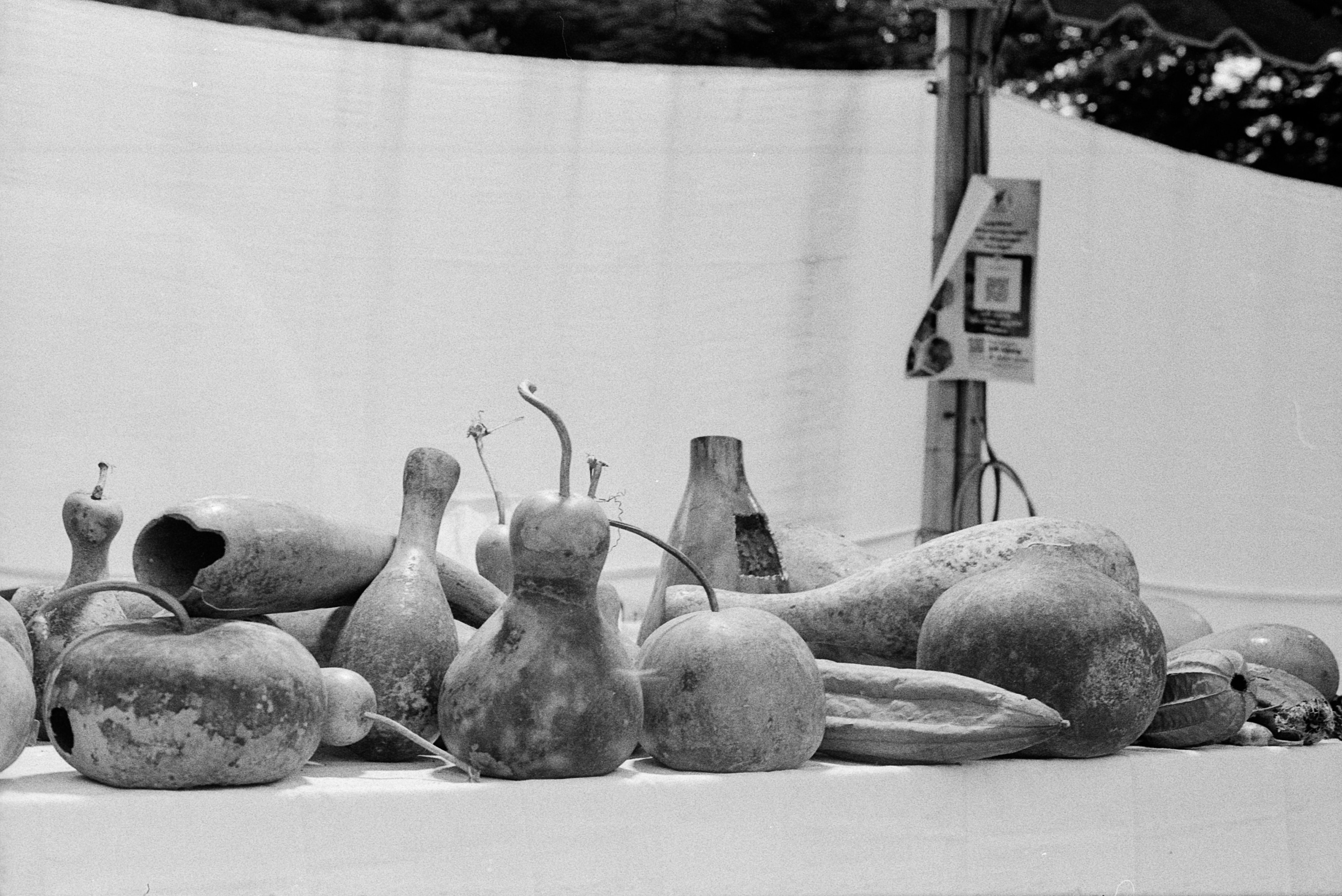 Everything on Film. Portrait, Fashion & Fitness Photography in Chennai| SunnyHazePhotography