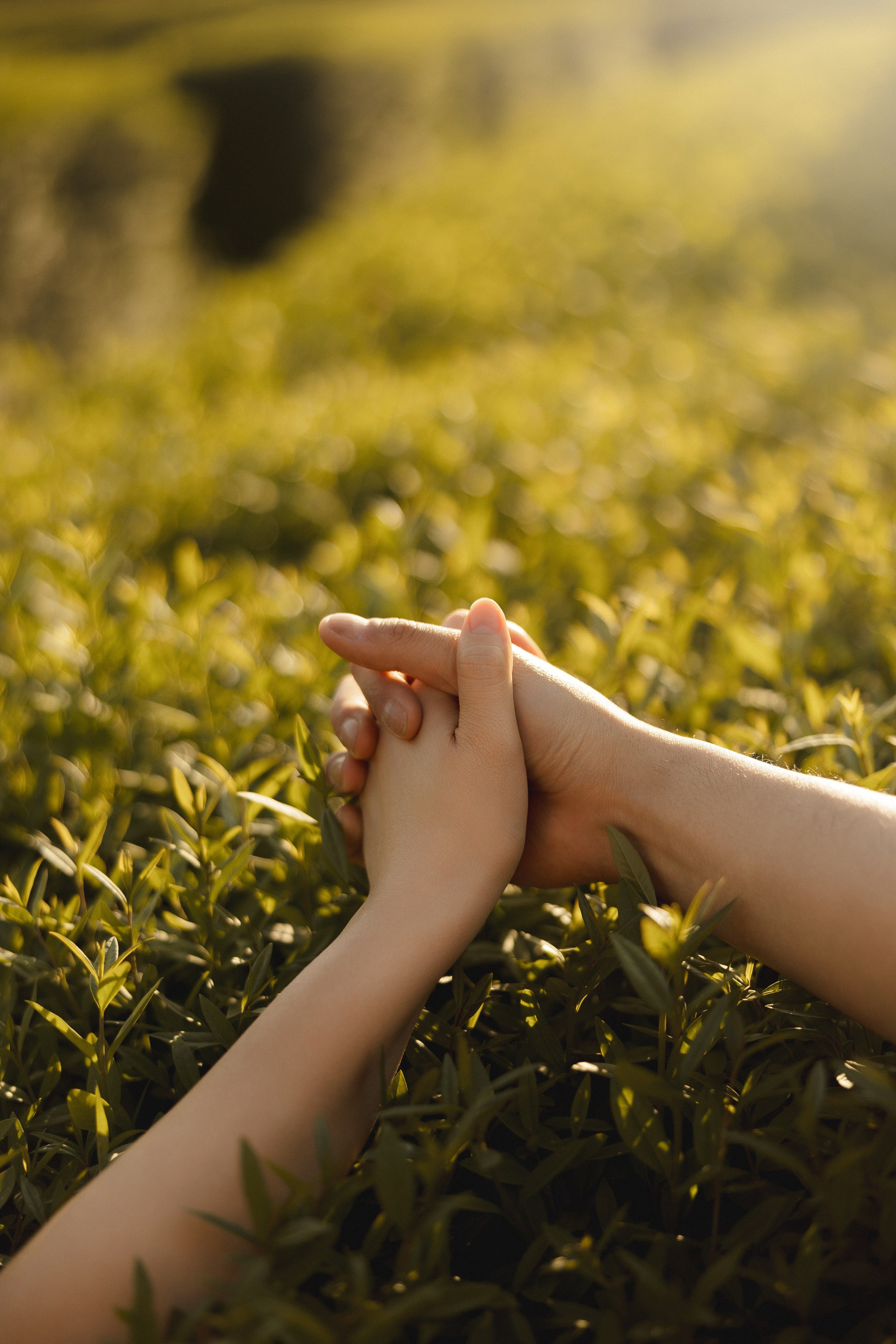 Медер и Айжан. Азимжан Нуритдинходжаев — свадебный фотограф