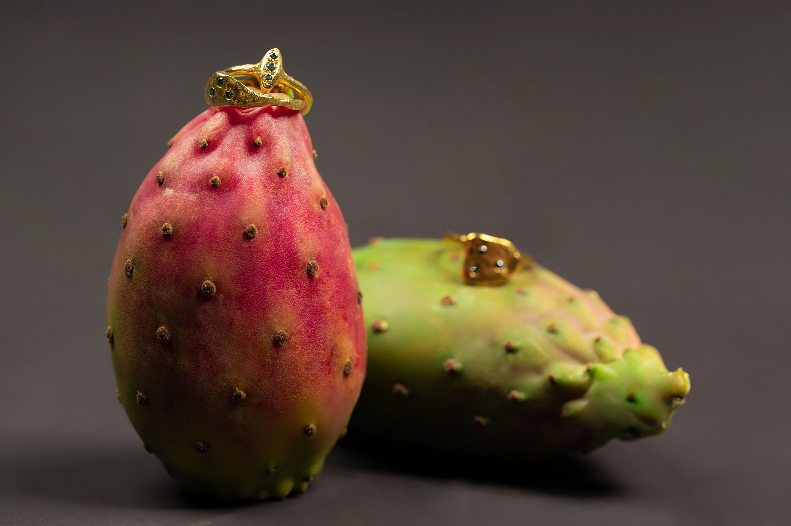 Jewelry “Astartelux”. Photographer in Luxembourg Tanita