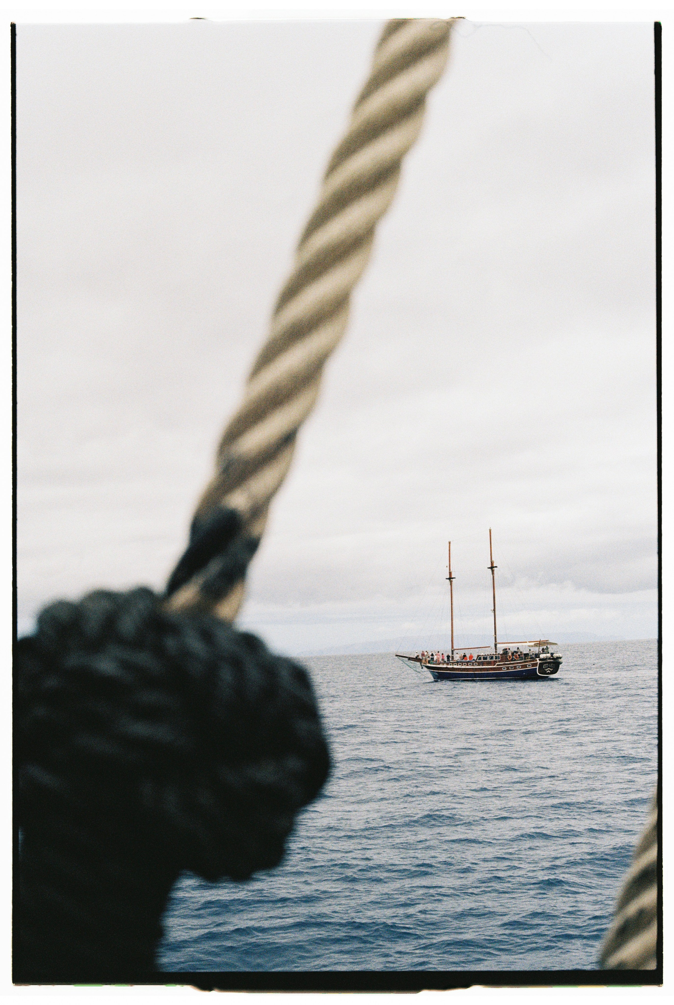 Madeira on film. Portrait photographer in Madeira — Marina Shtukina
