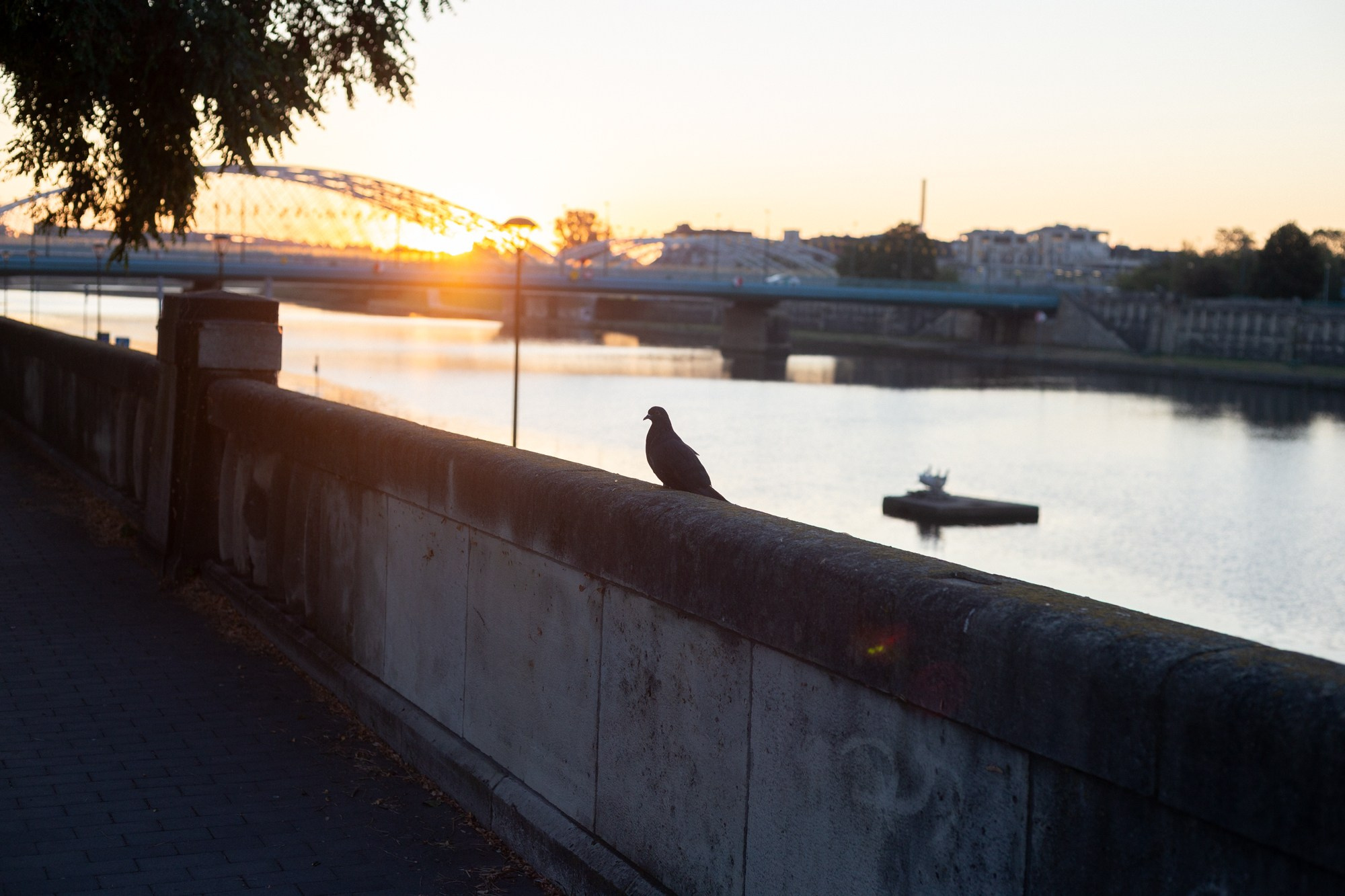 #PHOTODIARY | POLAND. Photographer in Budapest  — Yura Knyazev