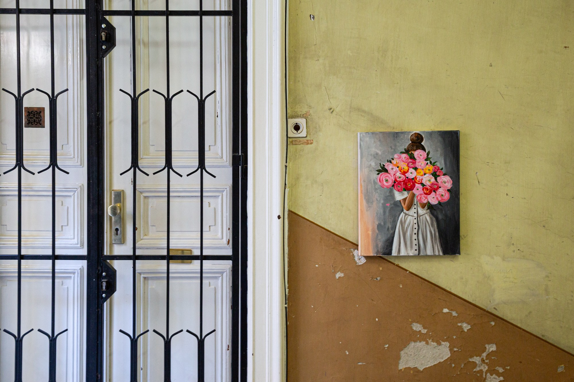 rose on the wall| Budapest 2026 | CANON 6D