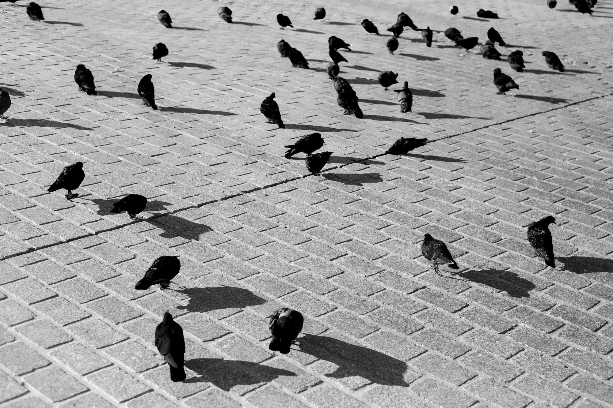 #PHOTODIARY | POLAND. Photographer in Budapest  — Yura Knyazev