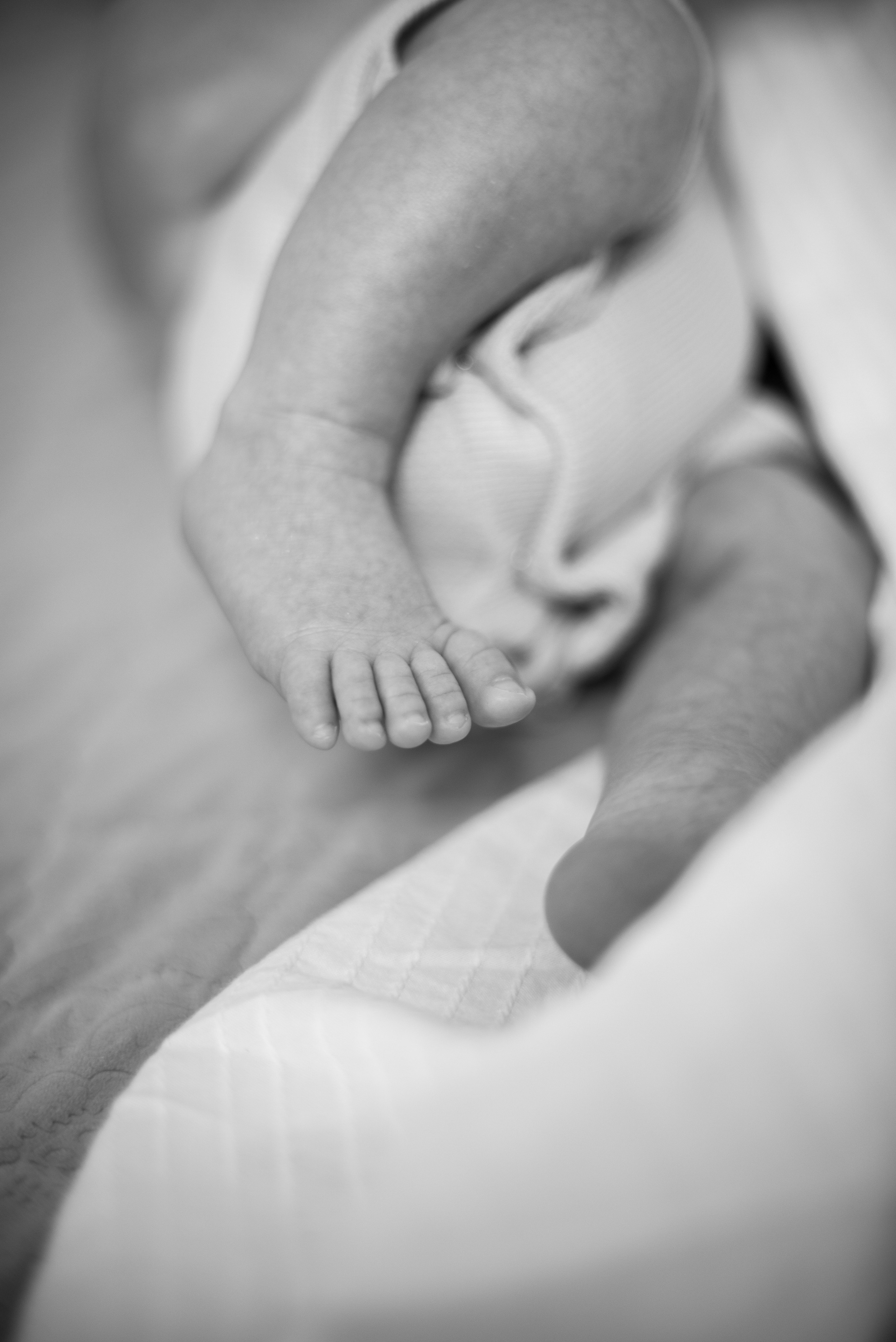 Катя, Андрей Мирон и Лео. Визуальный брендинг