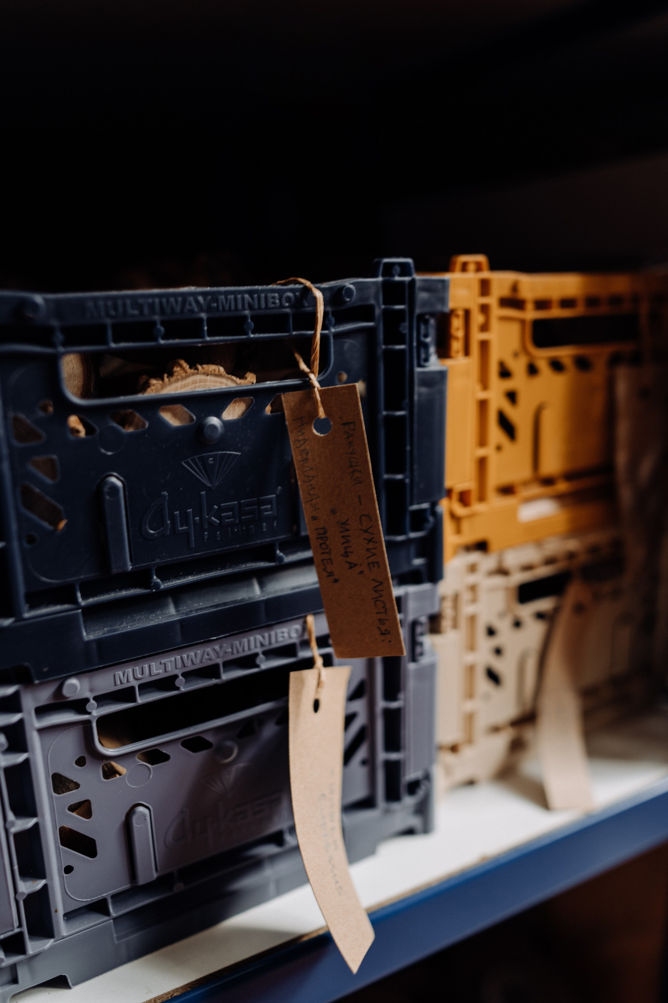 Elena. Фотограф в Праге Анна Лебедева