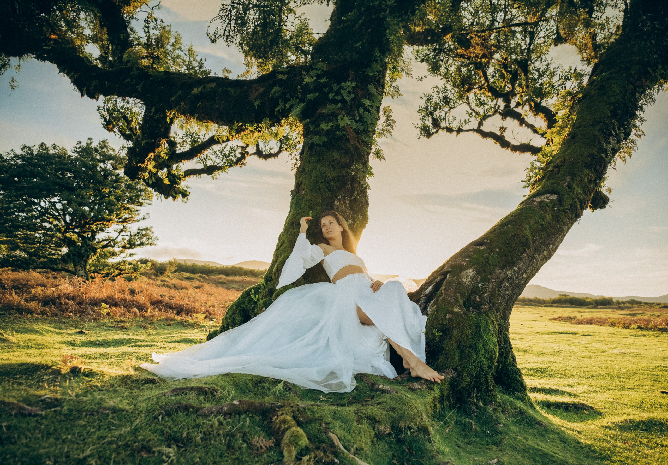 Photoshoot in the enchanting Fanal Forest