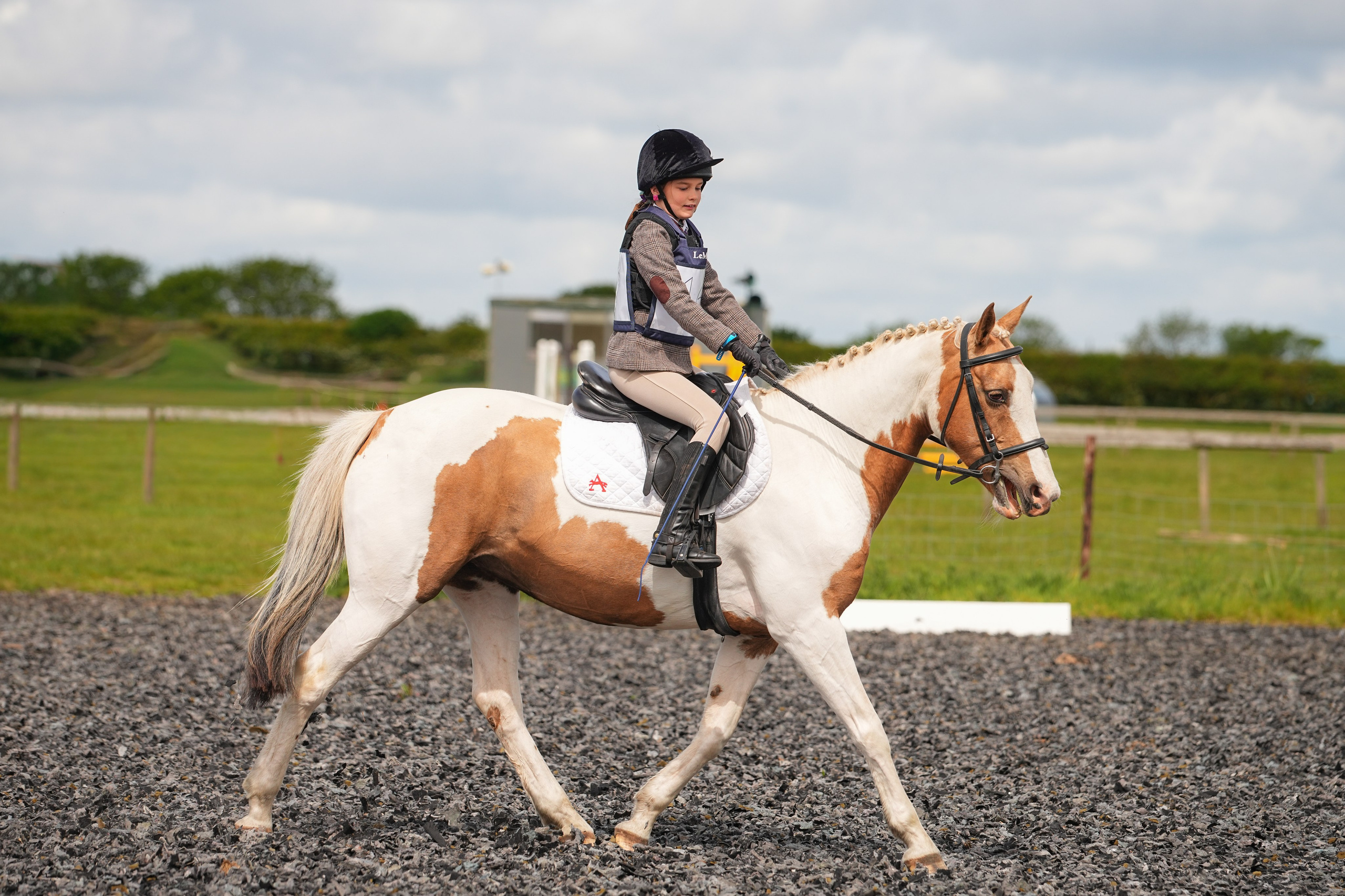 Dressage. Leicestershire Equine Photography by El | Authentic Equine Portraits & Events