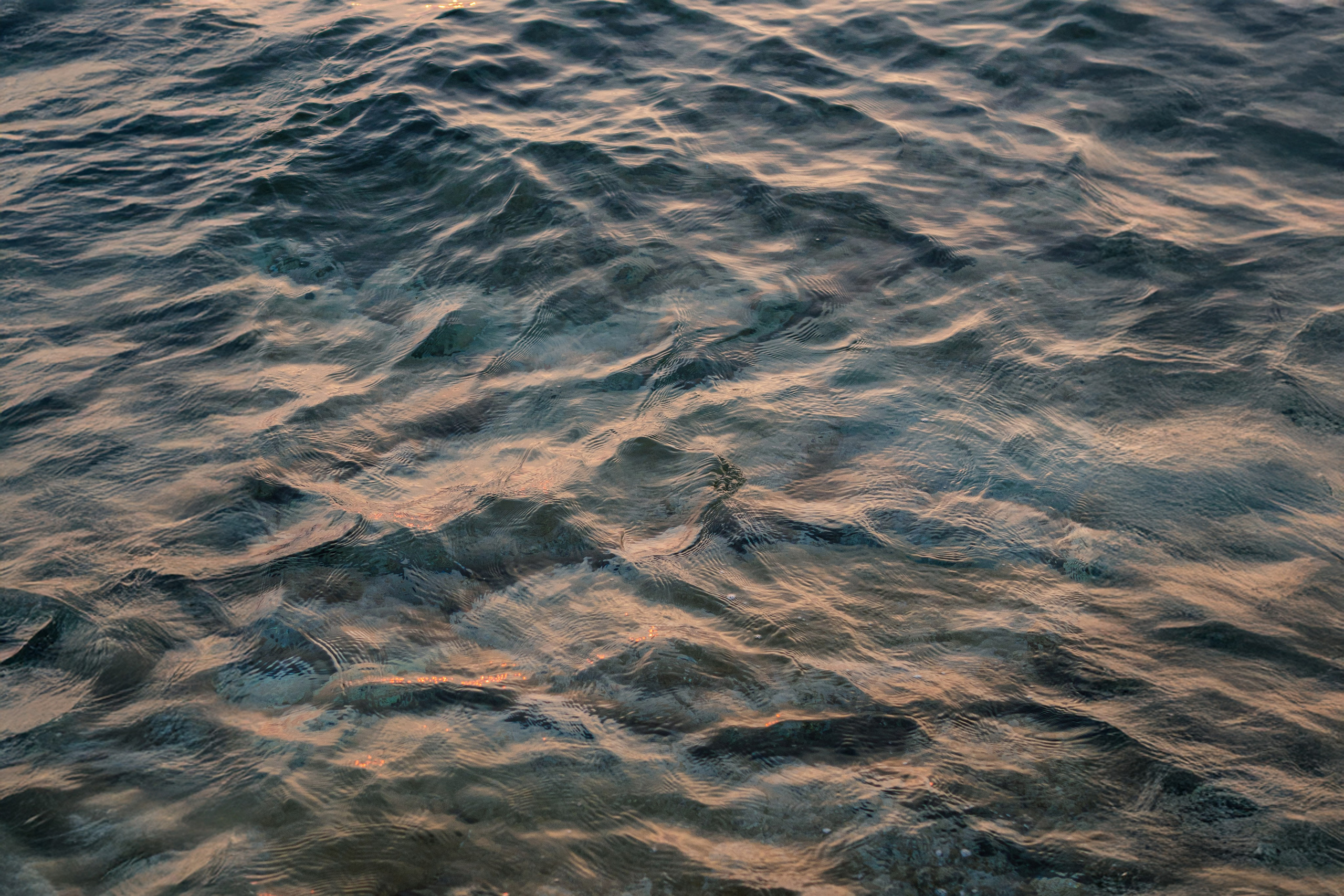 A.mare Studio. Weddings, sports and events photographer in Senigallia