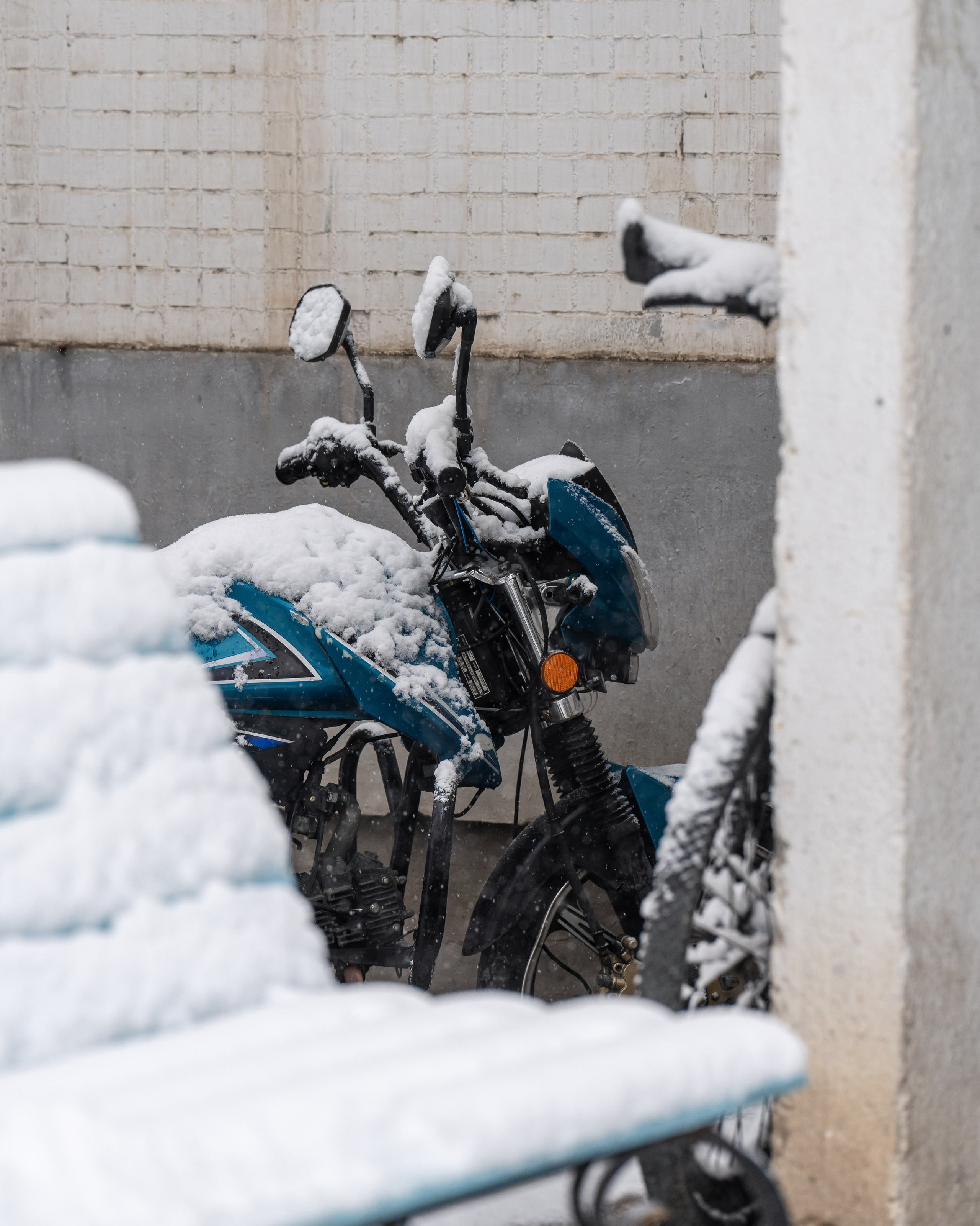 Снег. Георгий Намазов | Фотограф в Ташкенте