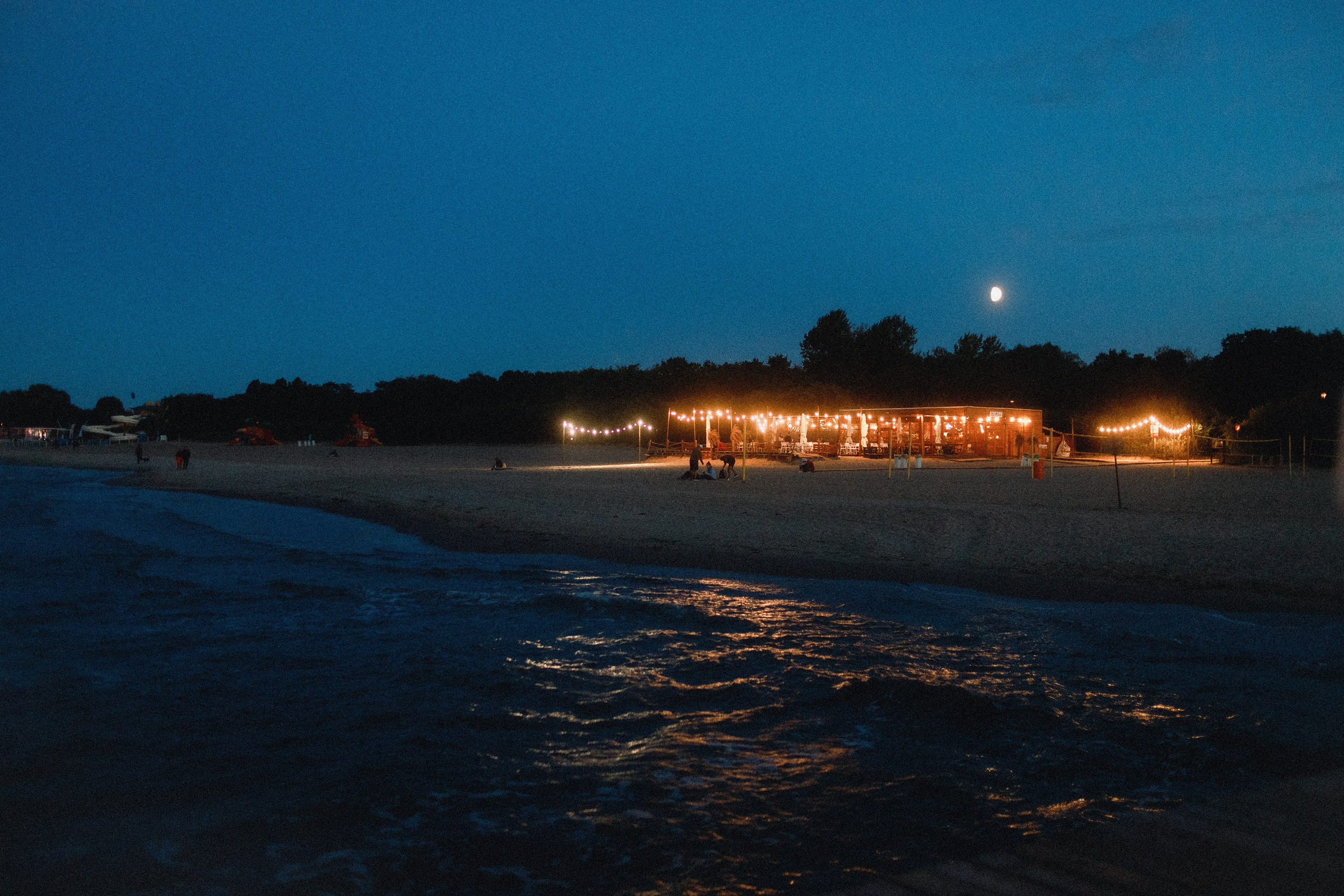 Darya & sea. Kaja | fotograf psów we Wrocławiu