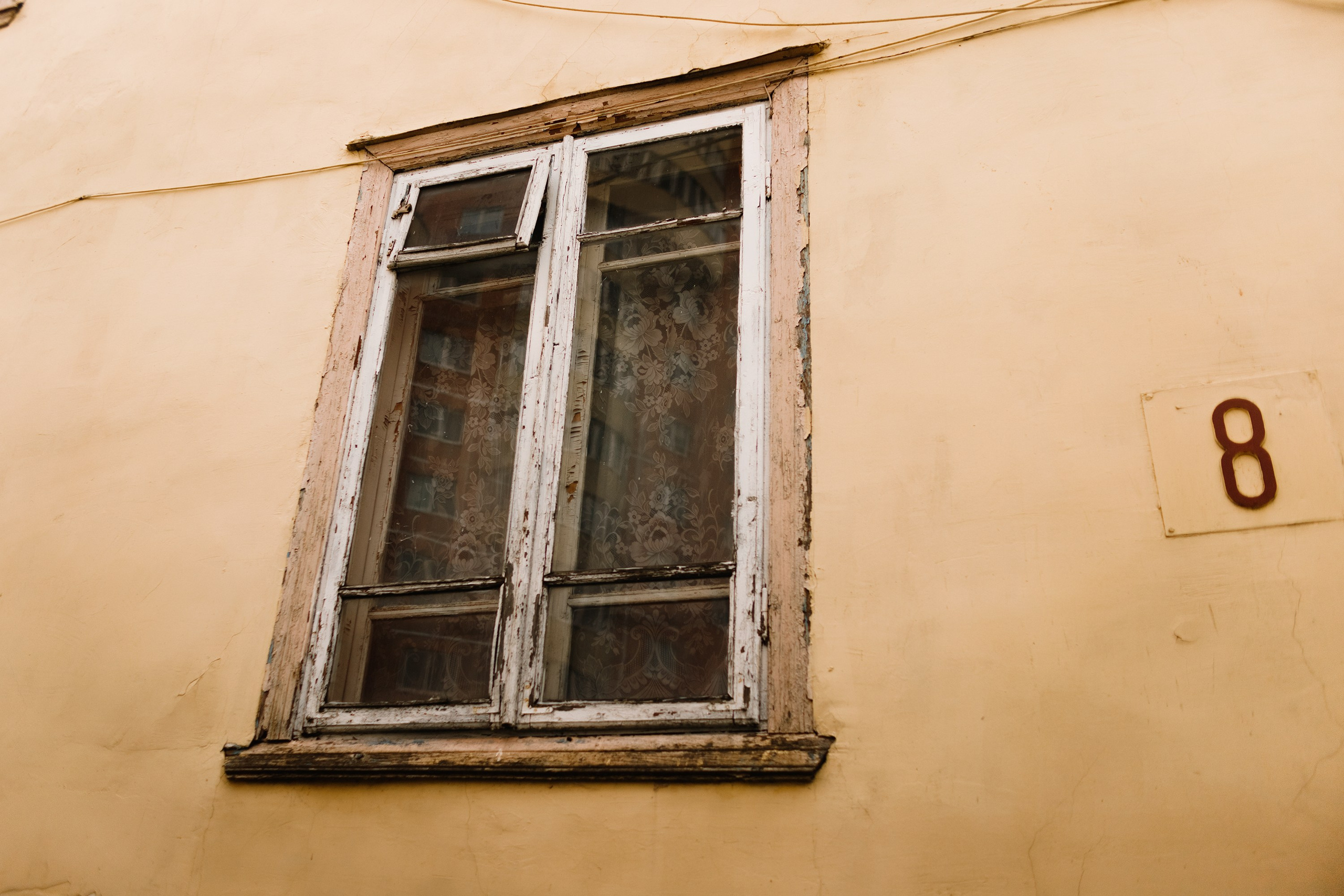 Grodno. Kaja | fotograf we Wrocławiu | ludzie i psy