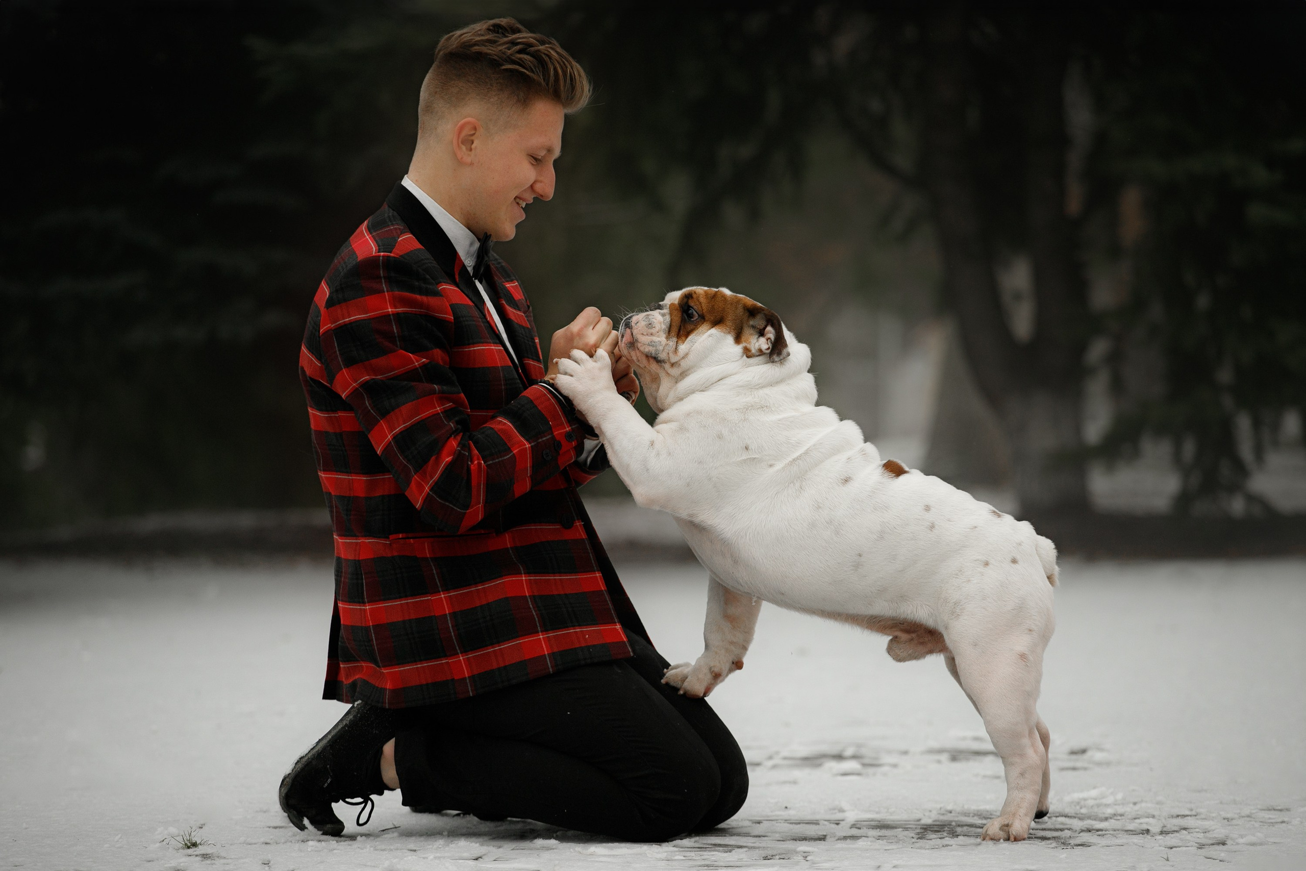 Dog shows | the best ones. Kaja | fotograf psów we Wrocławiu