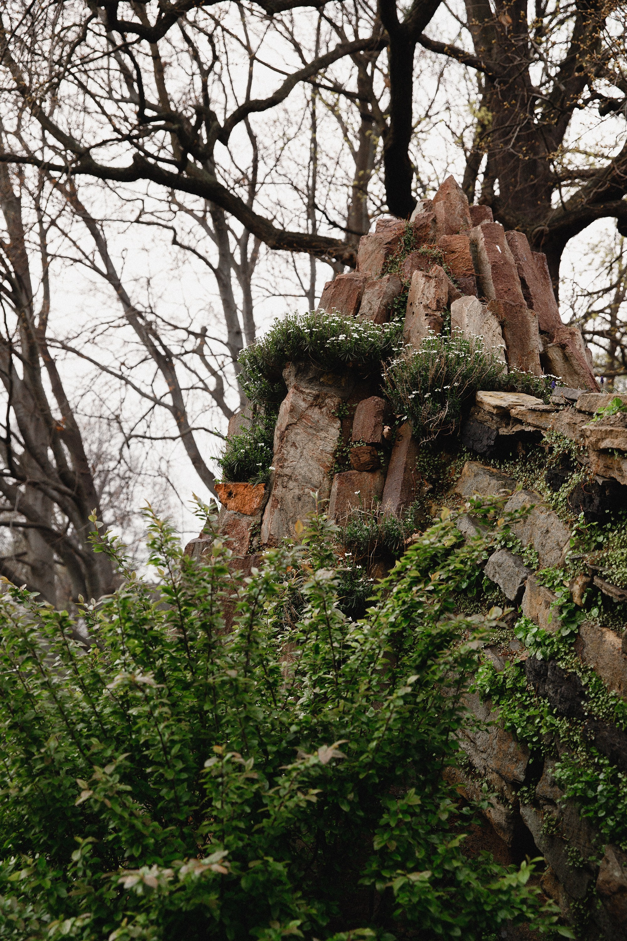 Botanical garden in Wroclaw. Kaja | fotograf we Wrocławiu | ludzie i psy