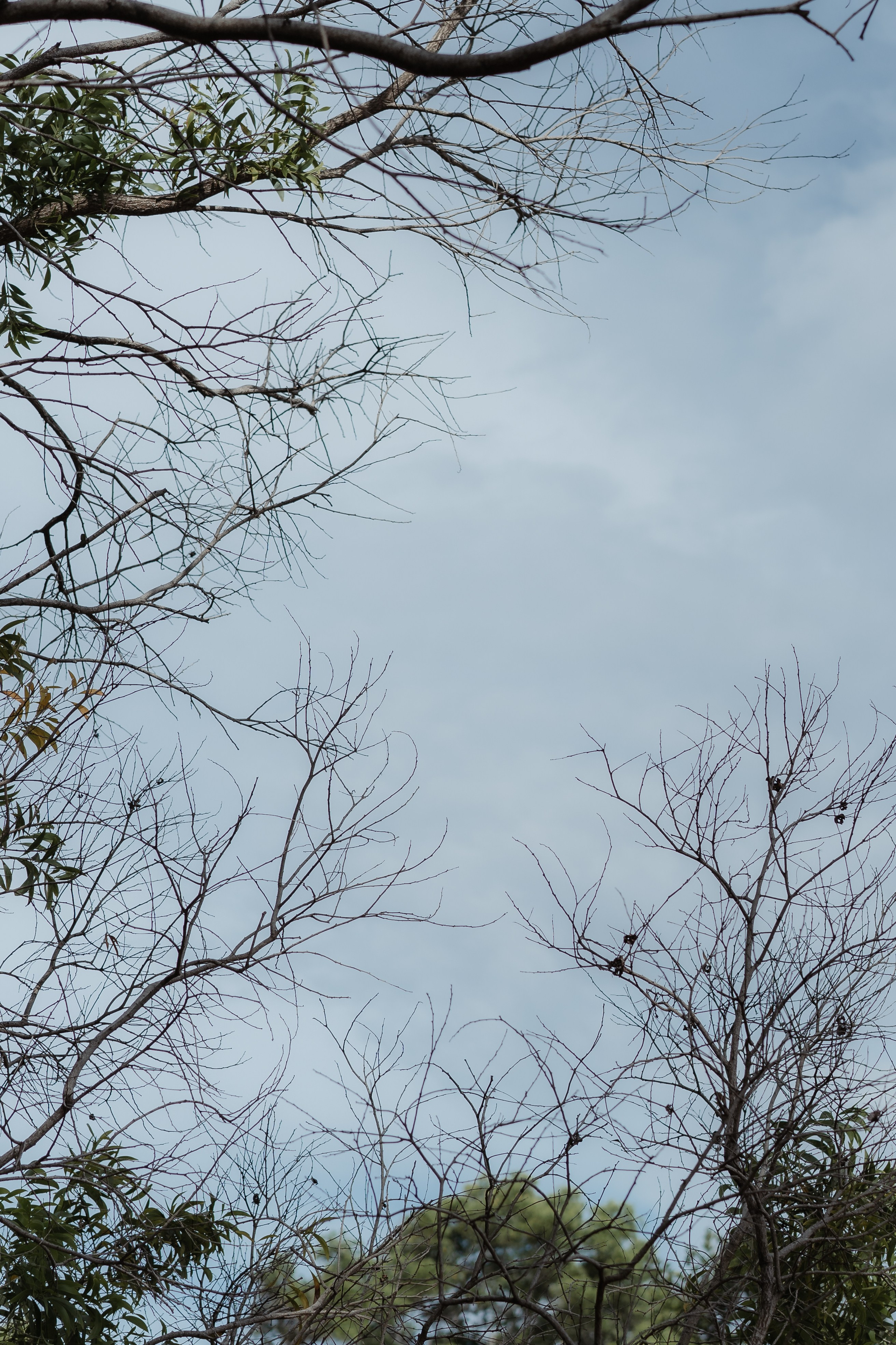 Aldre & Matheus | Guarapari. Lembrar não é só ver. É sentir de novo