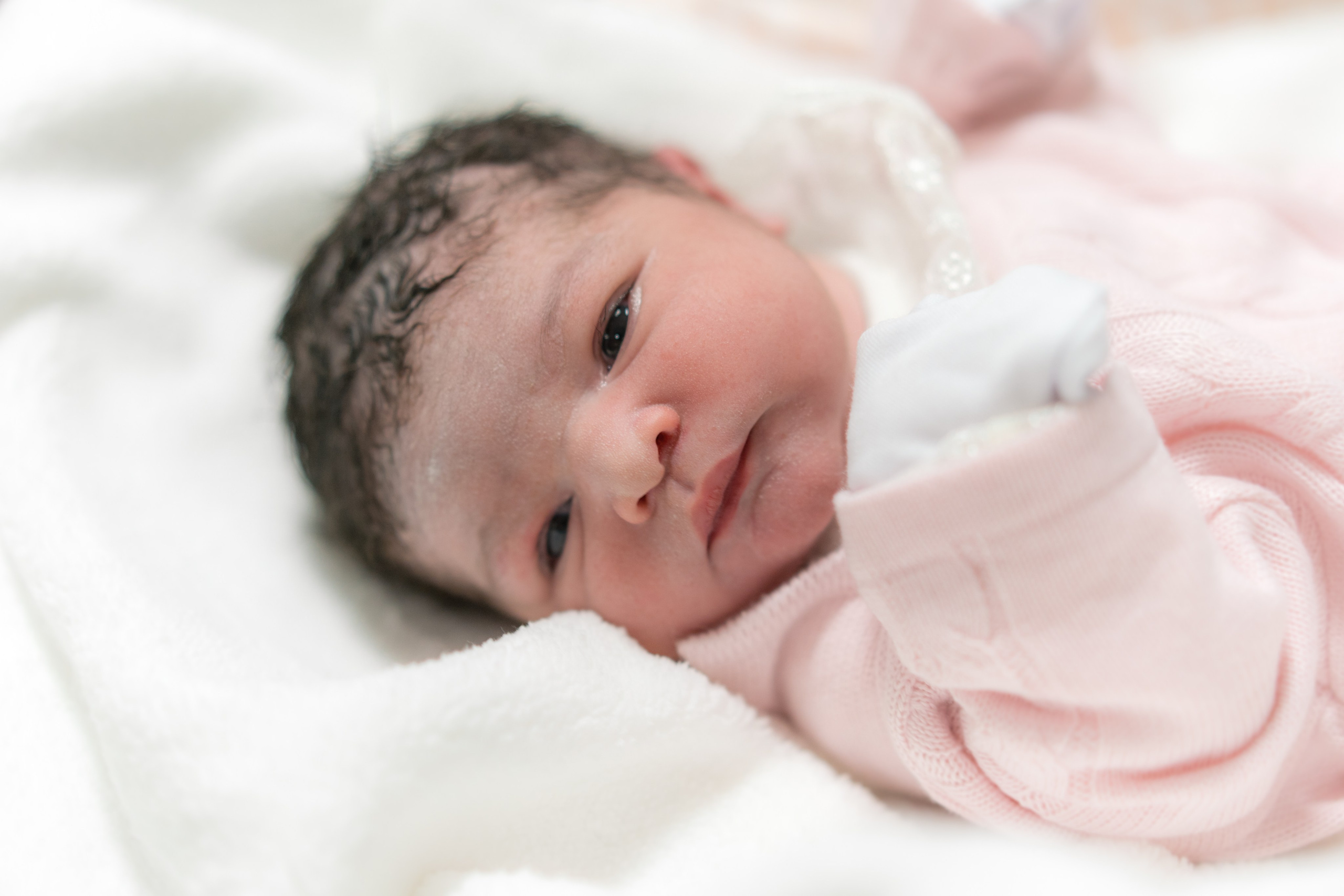 2024-10-25 | Parto — Elisa. Lembrar não é só ver. É sentir de novo