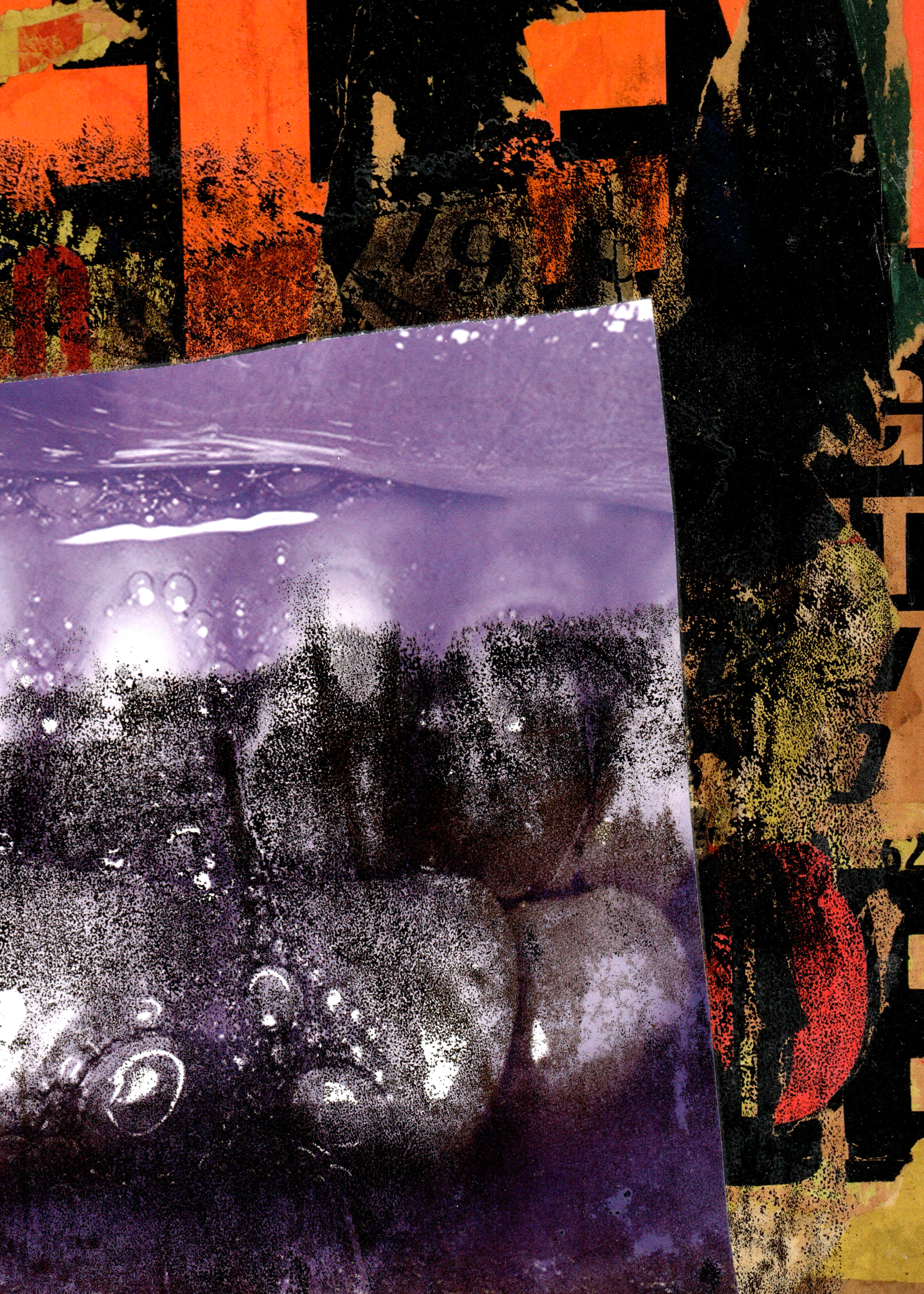 Show me your teeth. Rita Salnikova — Collage Artist and Visual Creator in Grenoble France