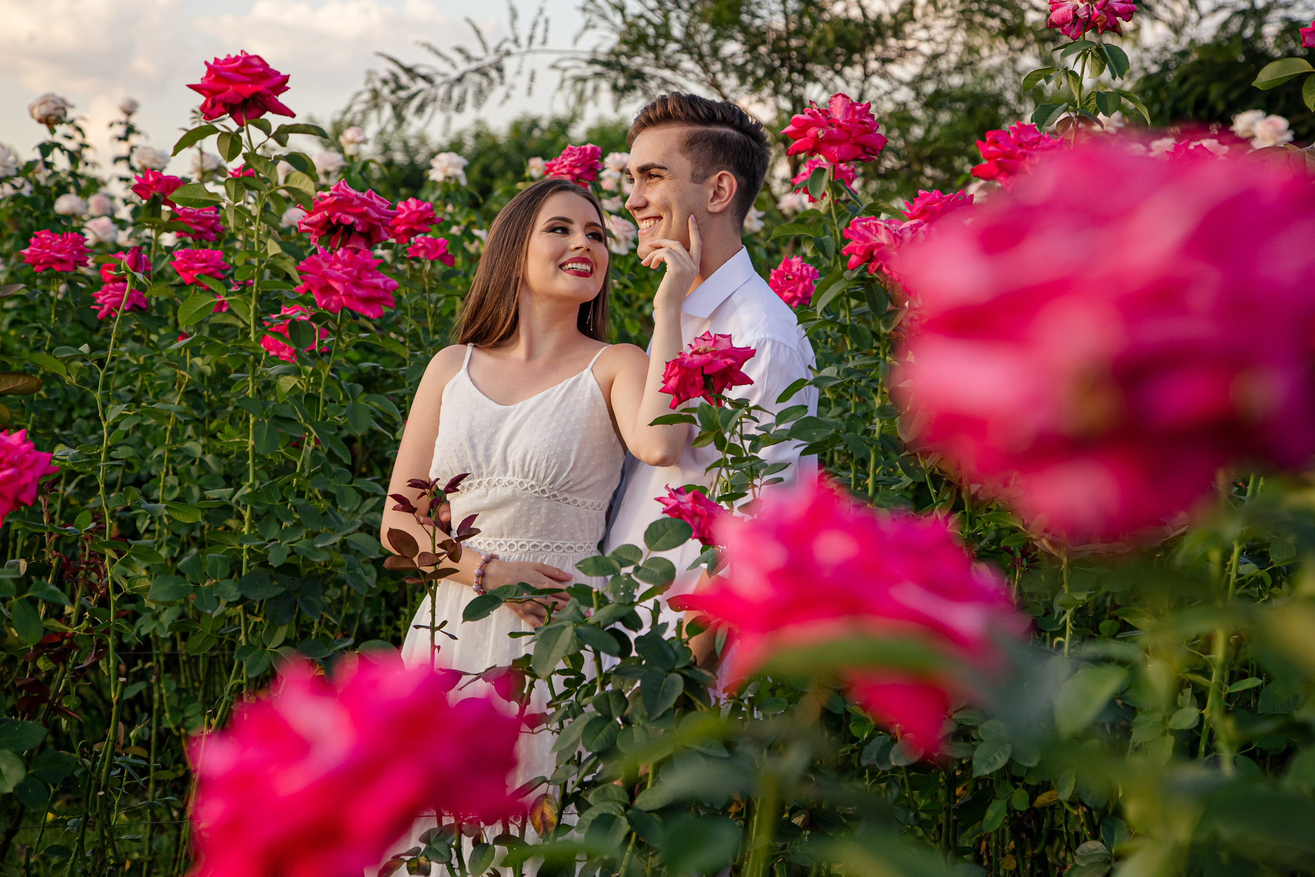 ensaio holambra pre wedding