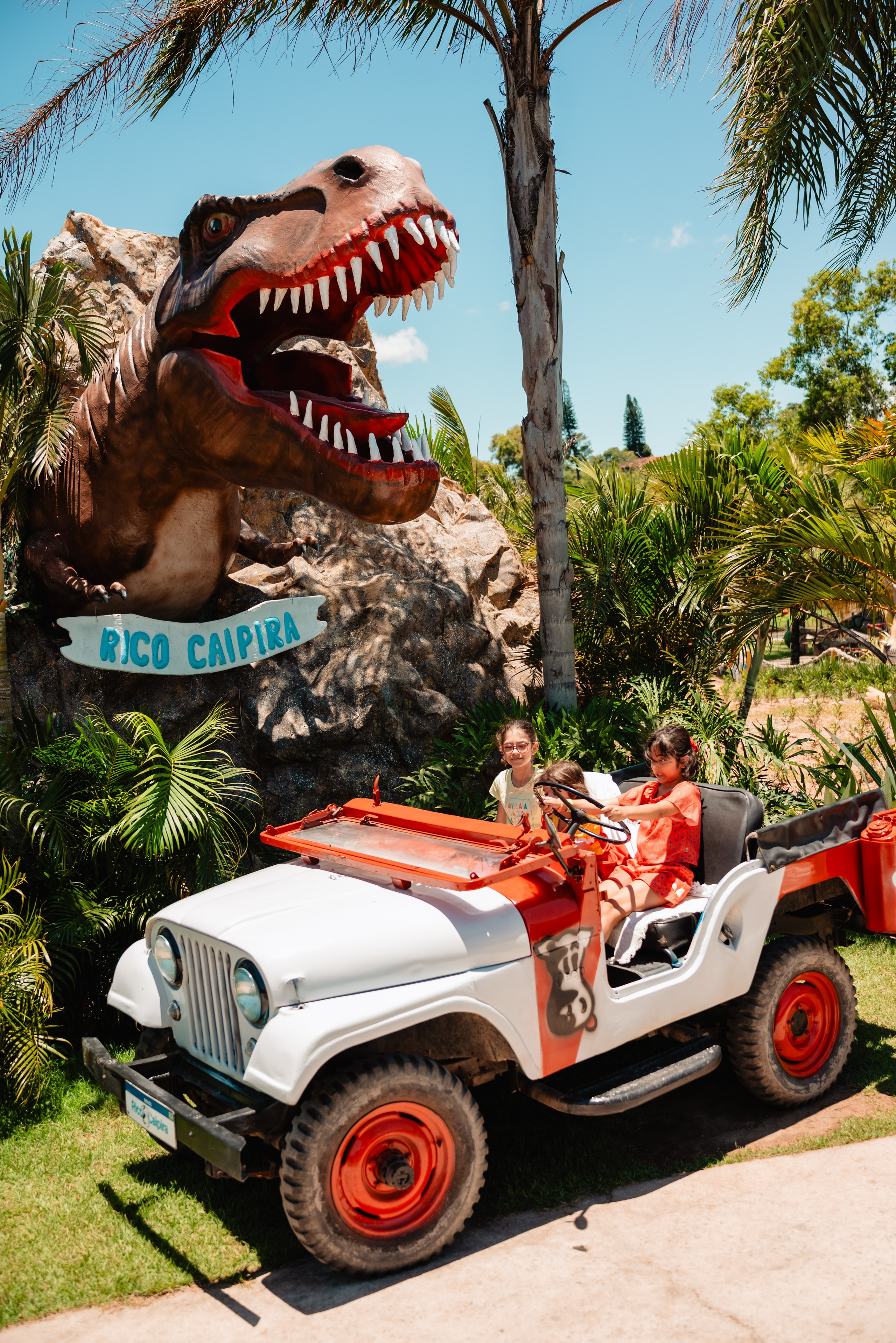 OS 5 anos da Bianca. Fotografo de casamentos e famílias no Espirito Santo — Marllus Milanez