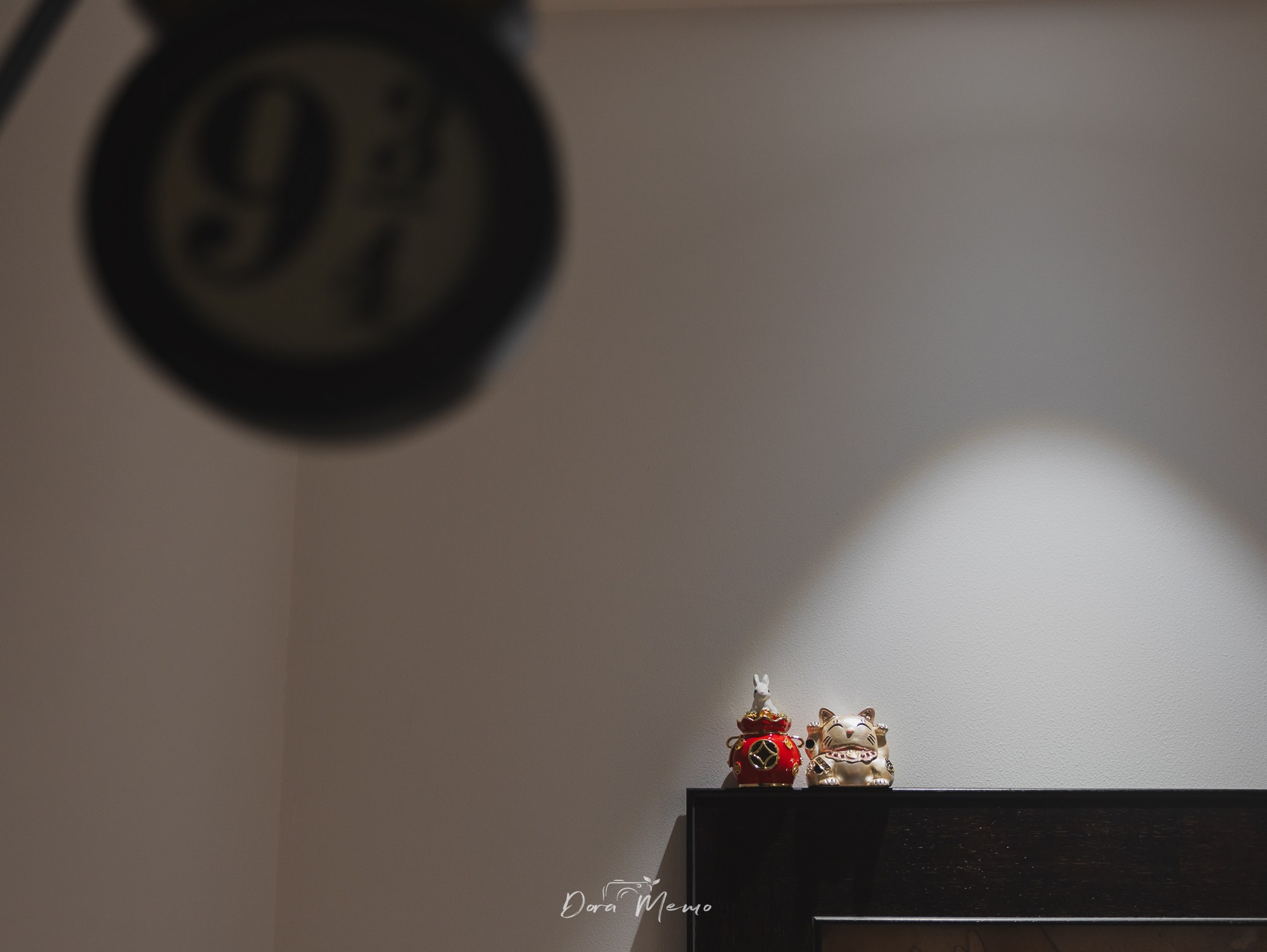 Shanghai Pet Family Photography | A Warm At-Home Session with Two Cats