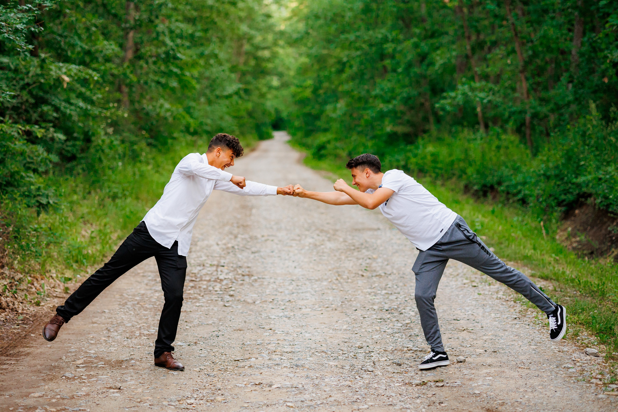 Distracție Gratuit. Trendy Albums