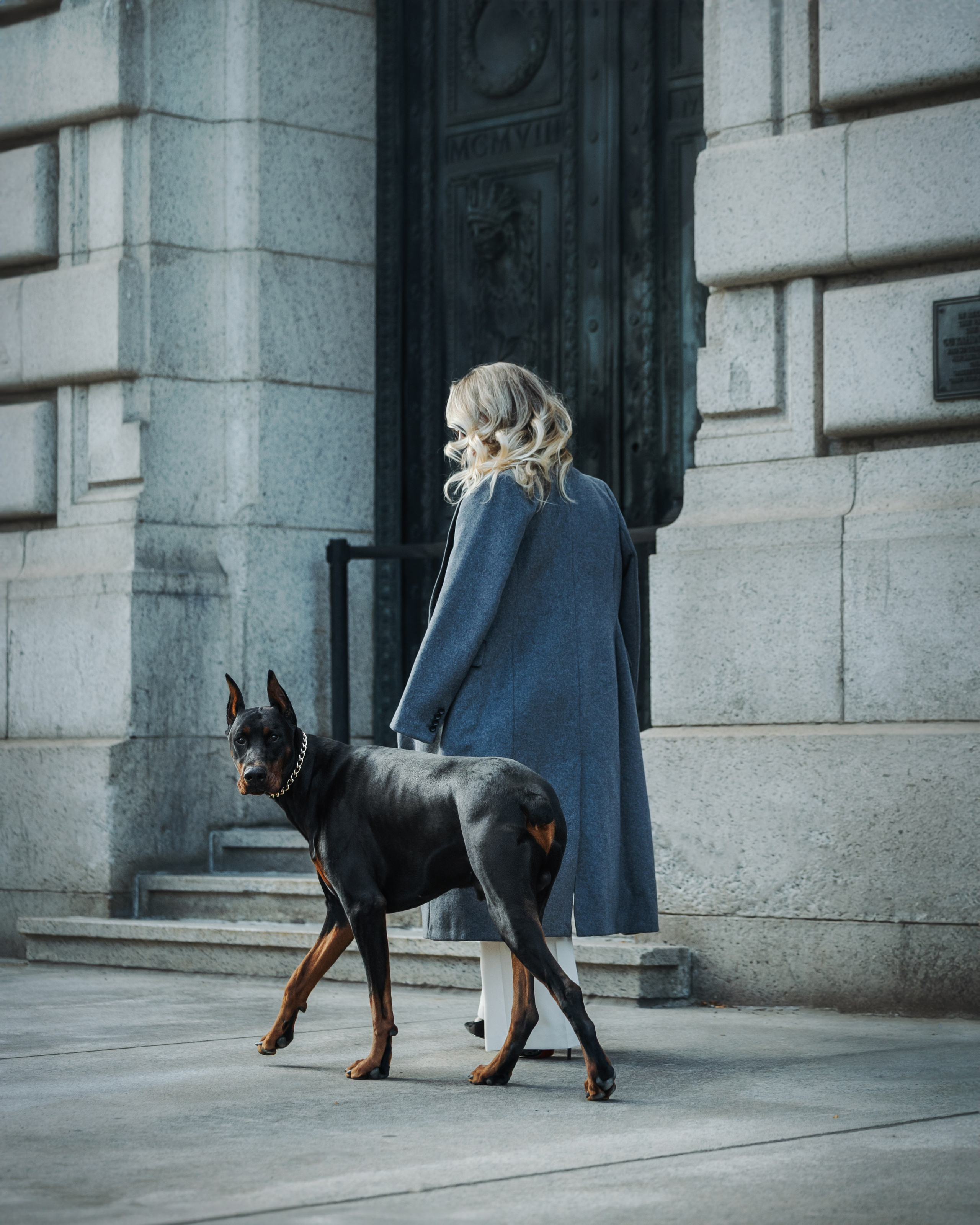 Enzo & Victoriya. Pet Photographer Viktoriya Aleshenko