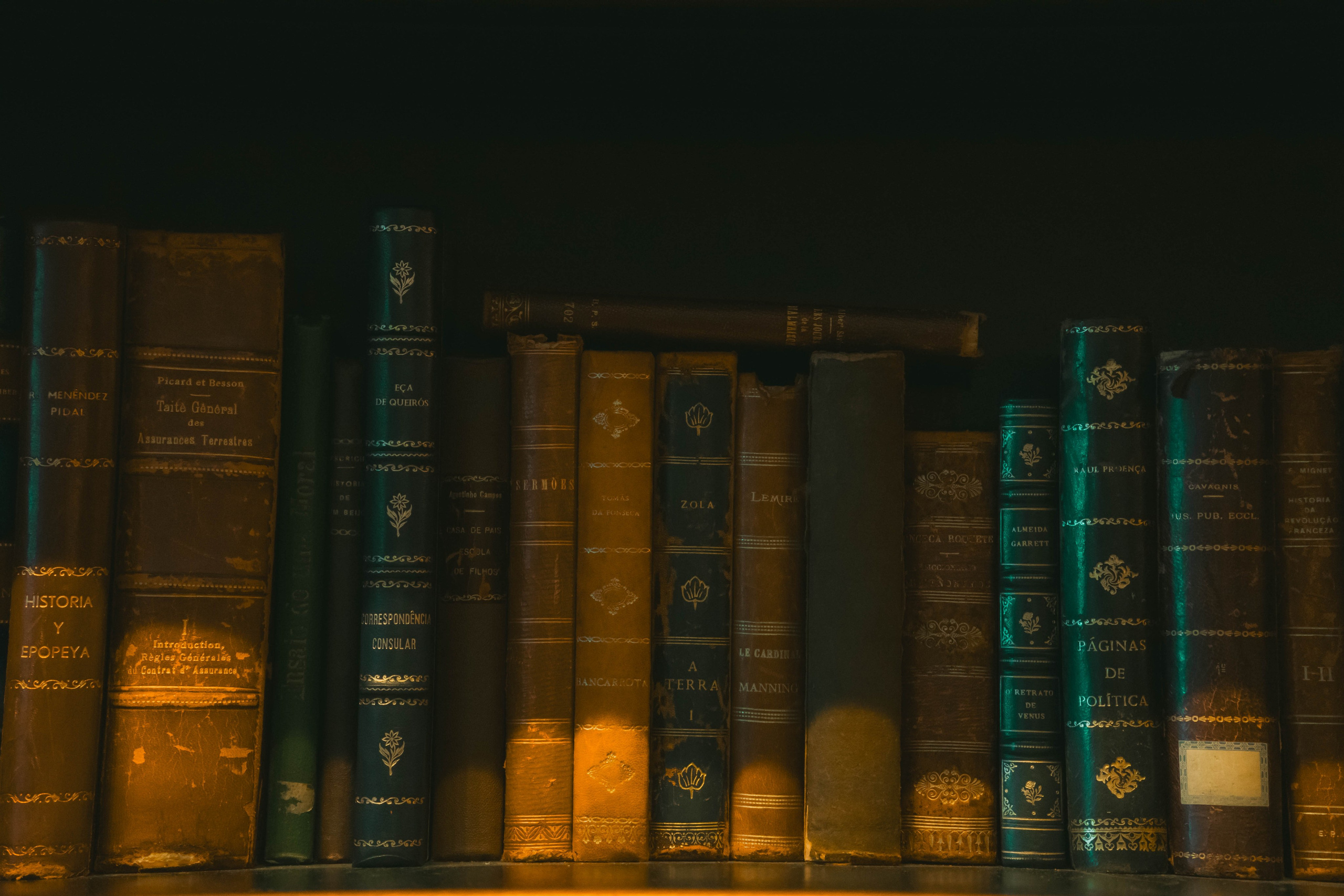 Porto, Agosto 2024. Alba del Norte Studio