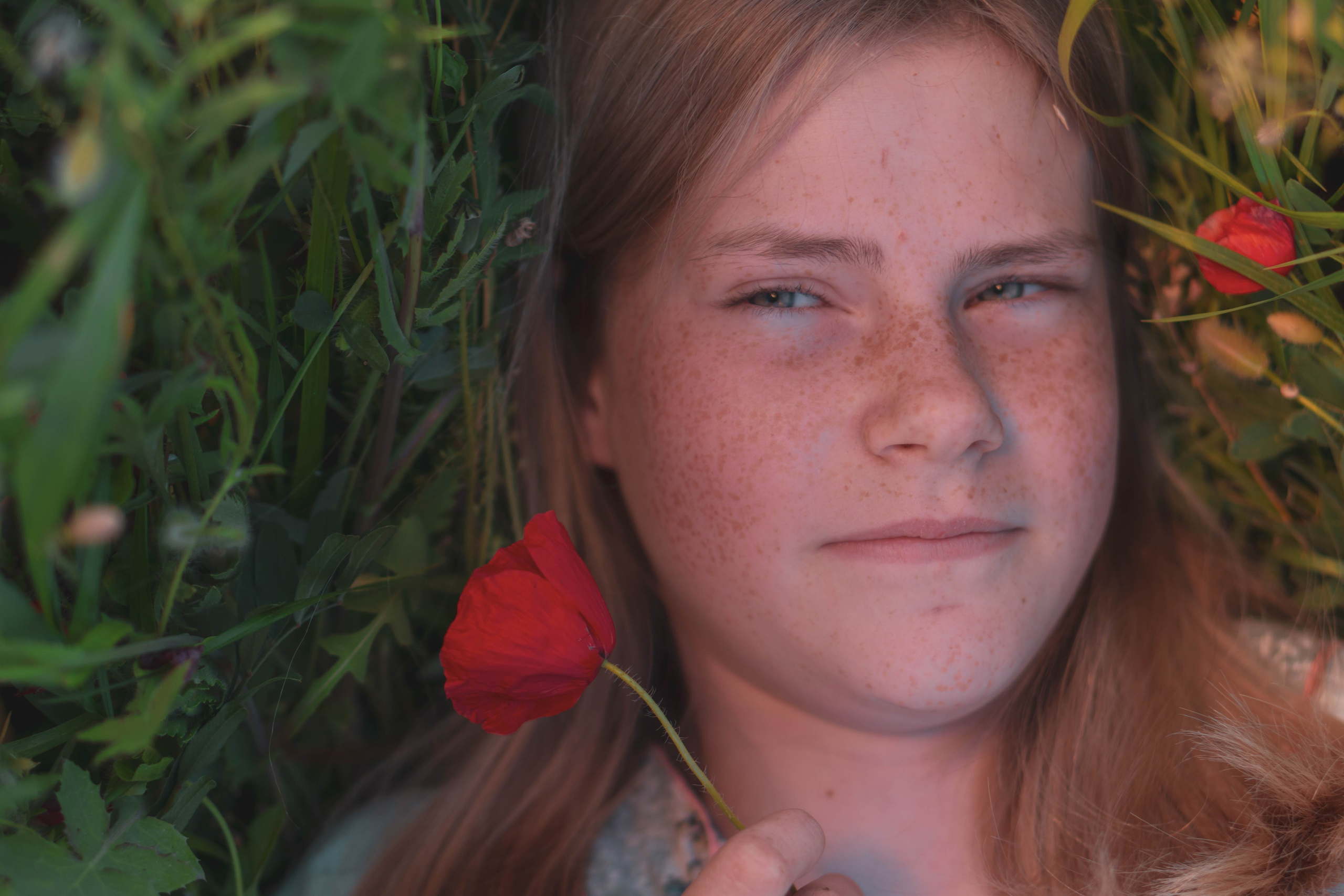 Agnia & Amapolas. Alba del Norte Studio