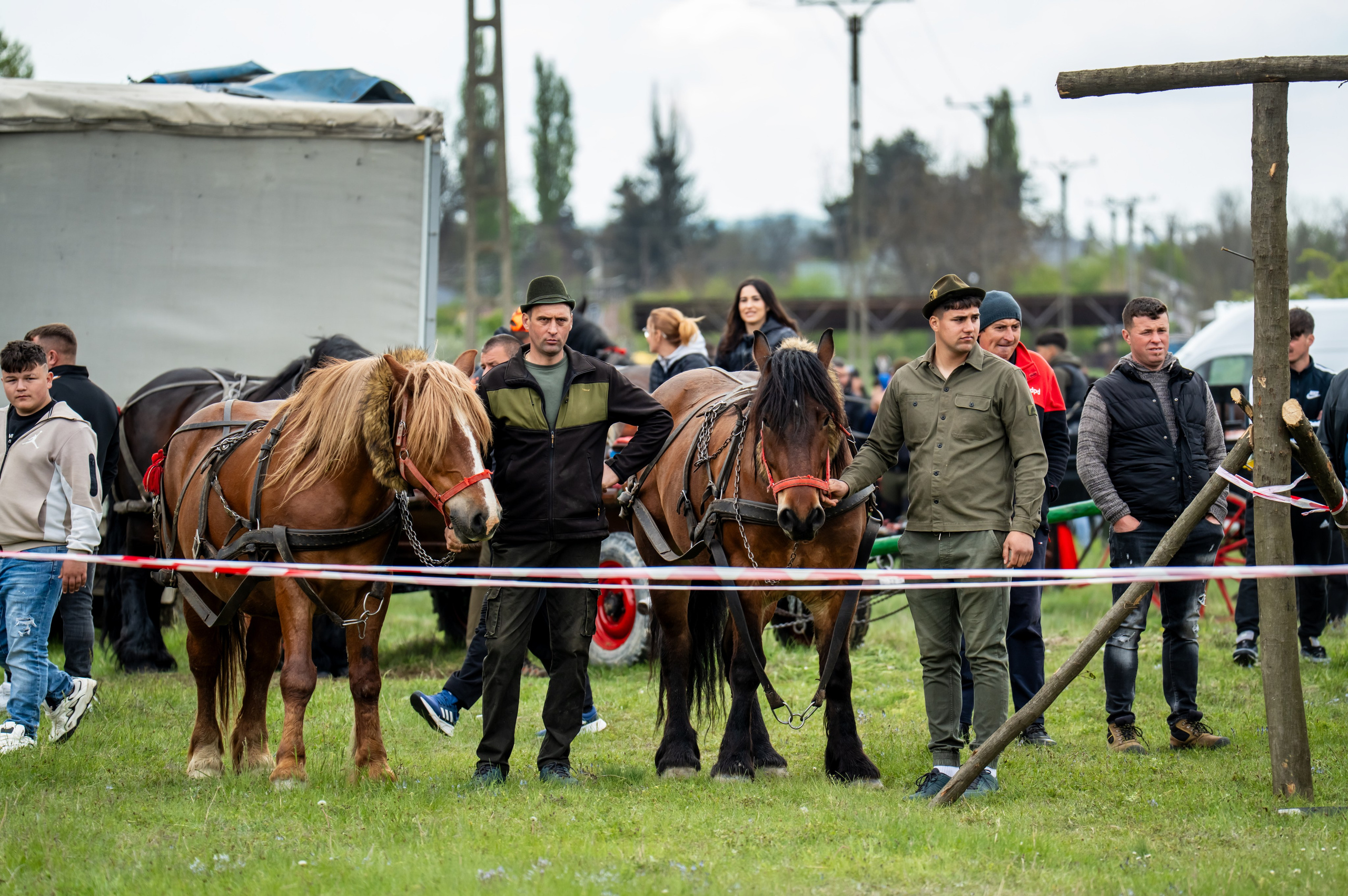 Concurs Ecvestru Vărbilău ediția a 4-a. Mihai Alexandra Events