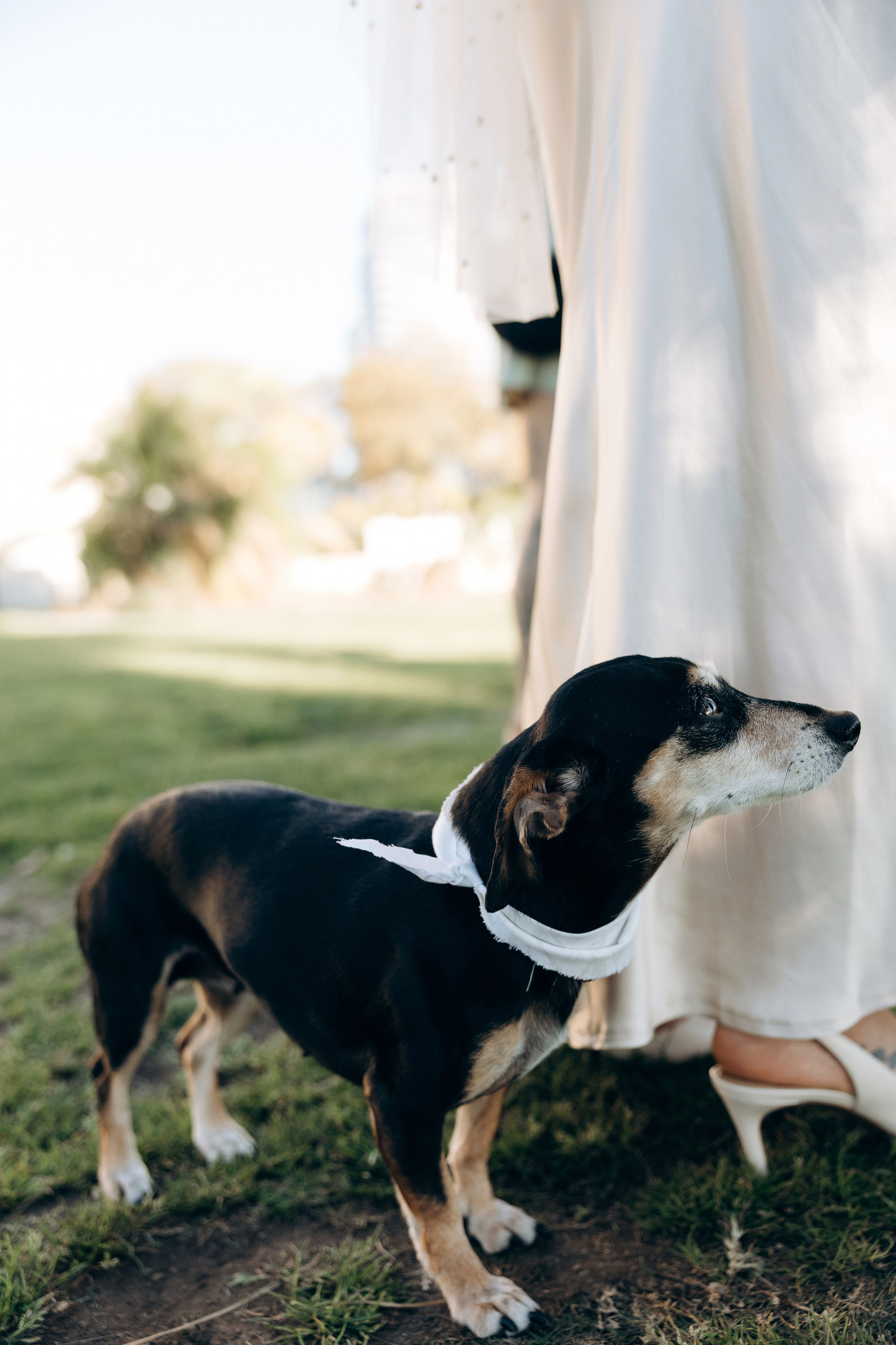 Jessi and Alex. Весільний та сімейний фотограф у Сан-Дієго