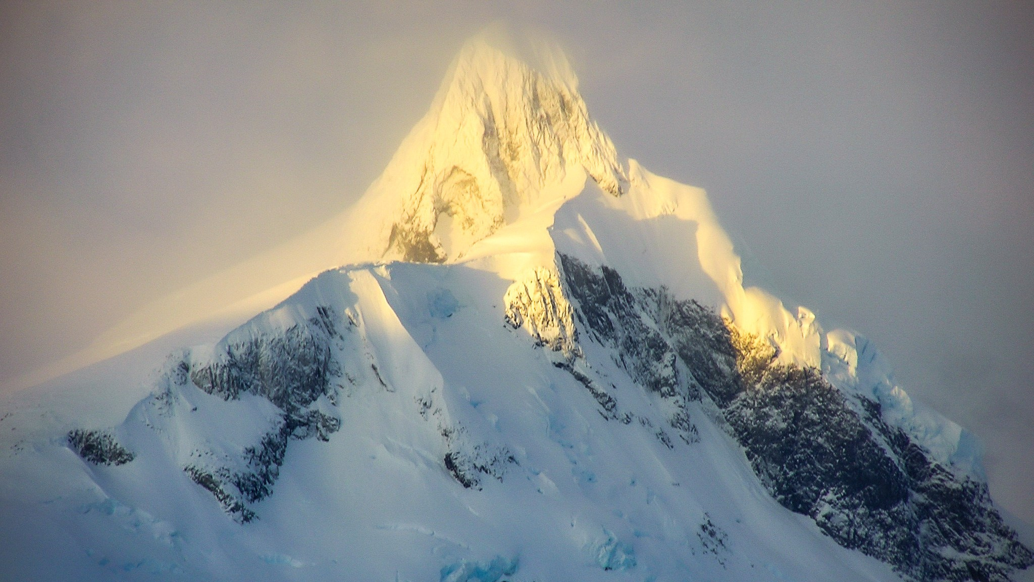 ANTARCTICA / 2004. Reportage concert portrait photography in the San Francisco Bay Area