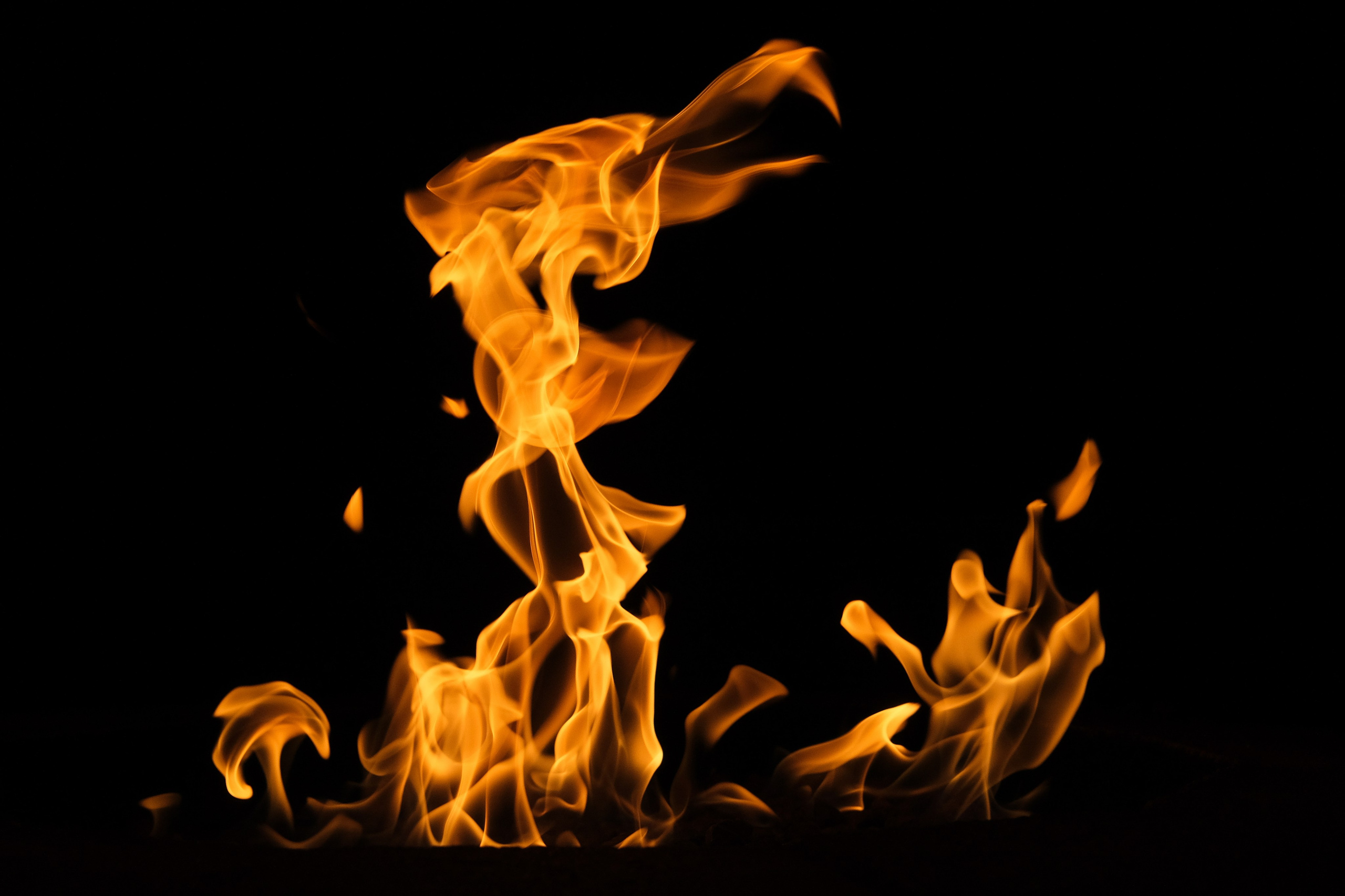 VATRA. Reportage concert portrait photography in the San Francisco Bay Area