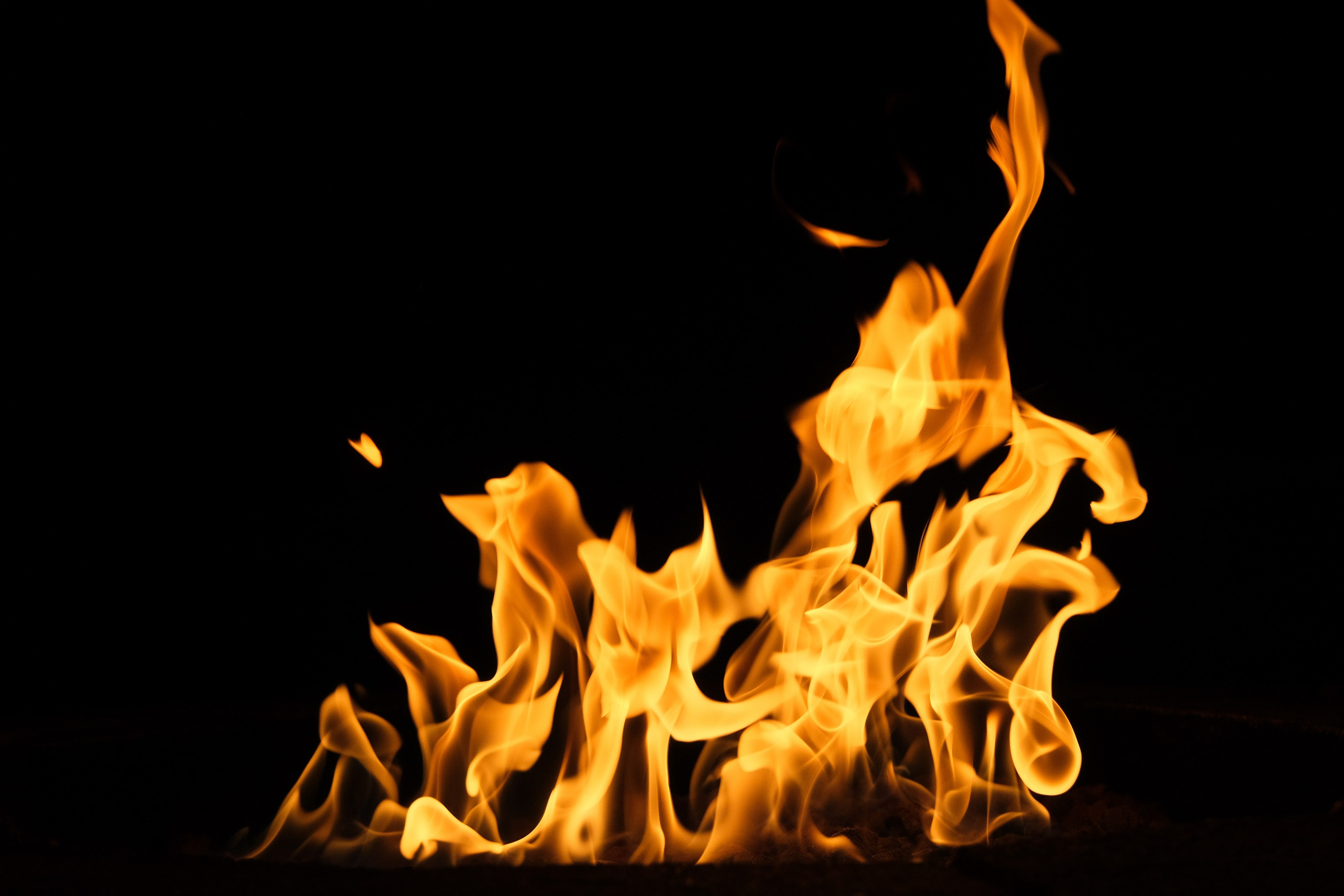 VATRA. Reportage concert portrait photography in the San Francisco Bay Area