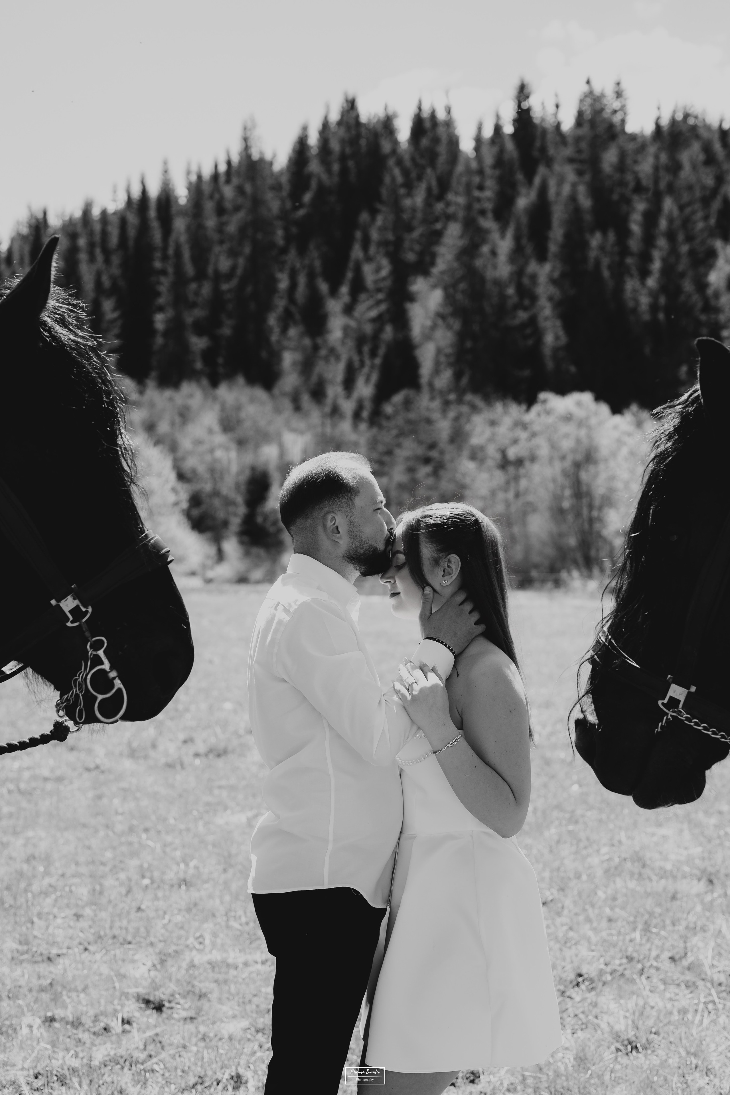 Save The Date — Ioana & Cătălin. Pagină Principală