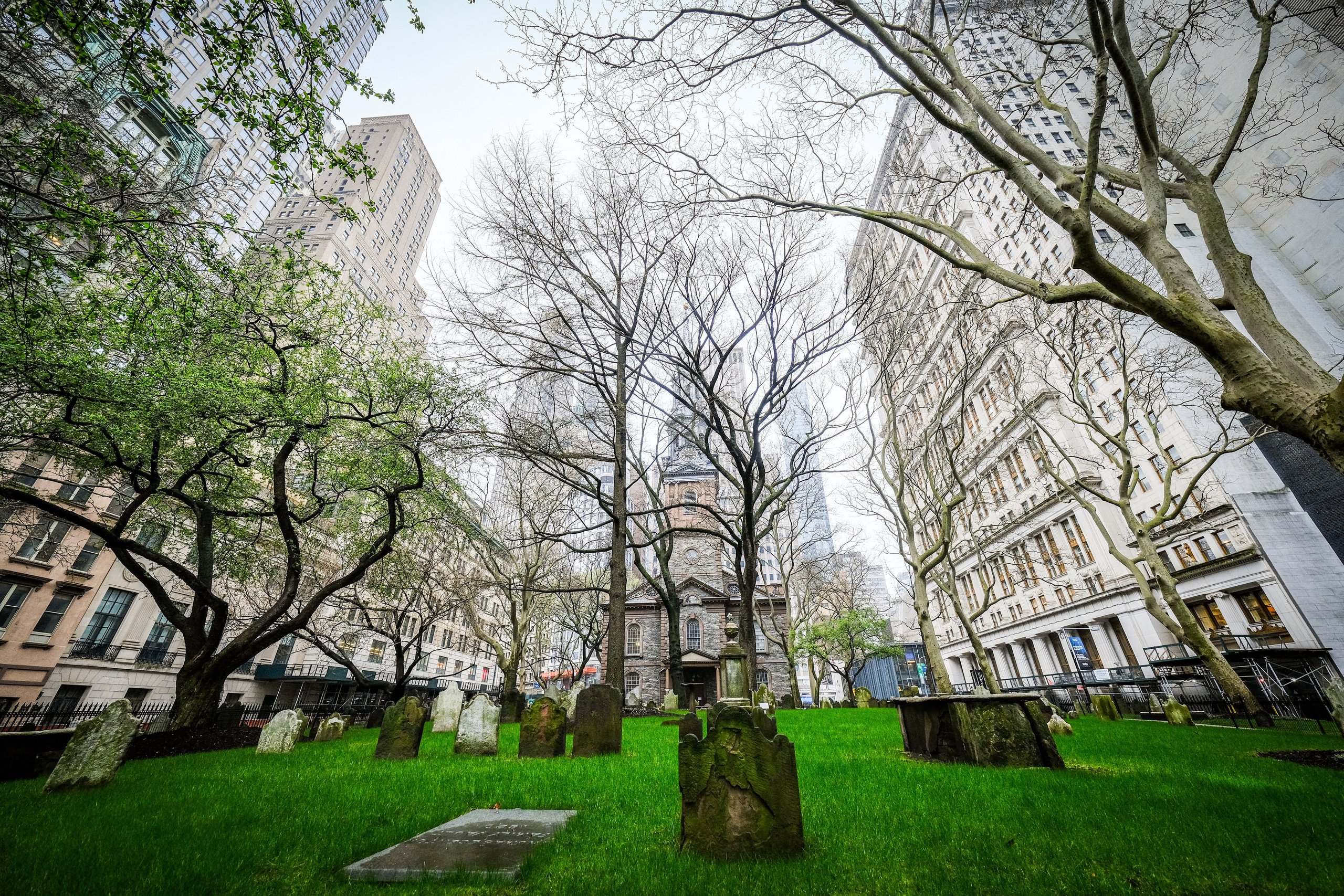 NEW YORK / 2025. Reportage concert portrait photography in the San Francisco Bay Area