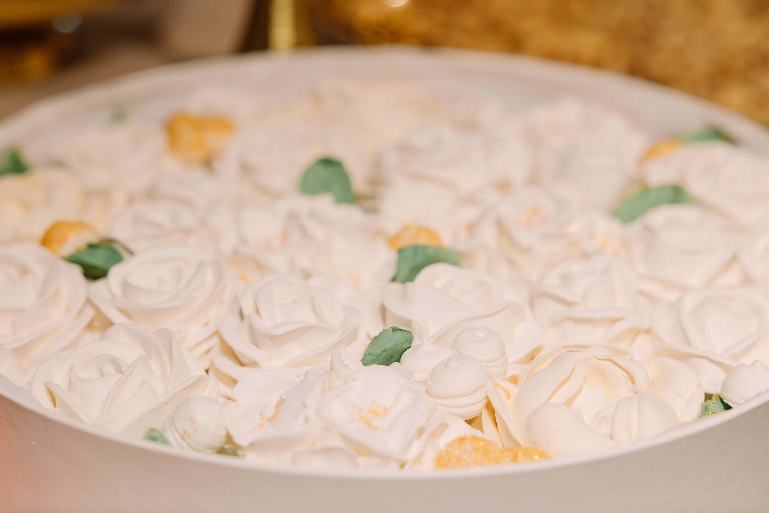 06.10.2024 Wedding Party. Wedding family event photographer in Chicago Nick Yushevich