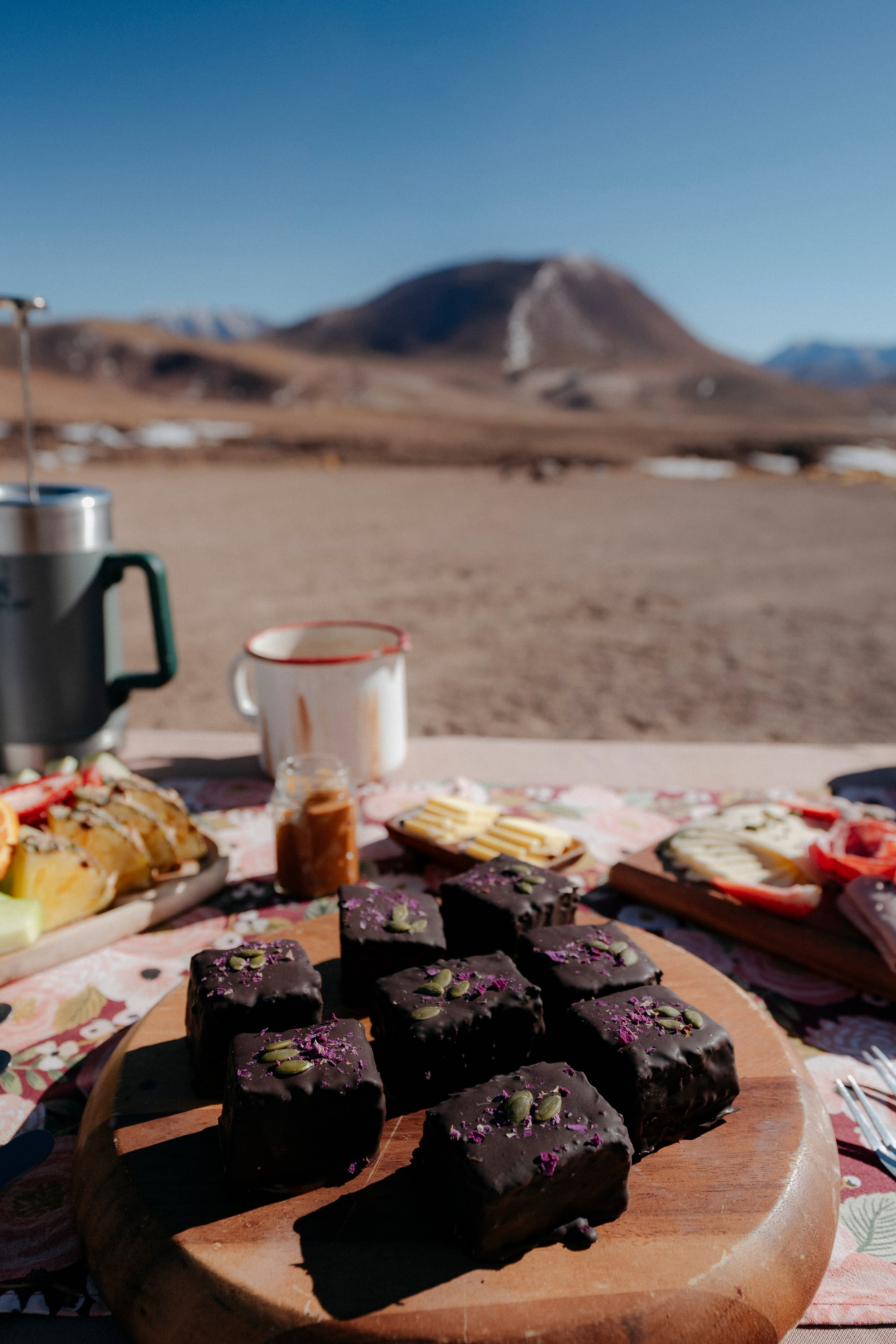 Geyser El Tatio (cobertura en tour privado). Principal