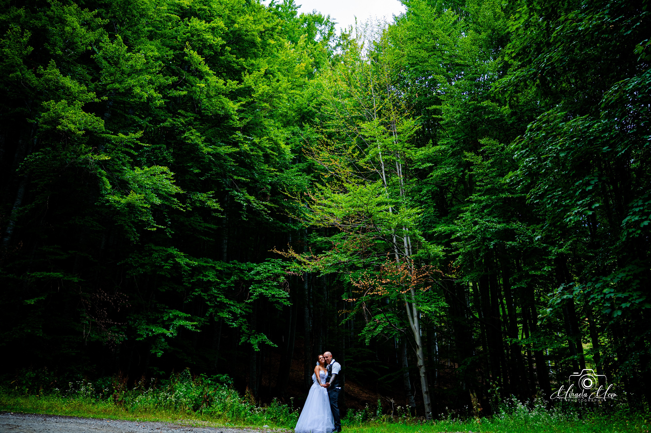 Trash the dress