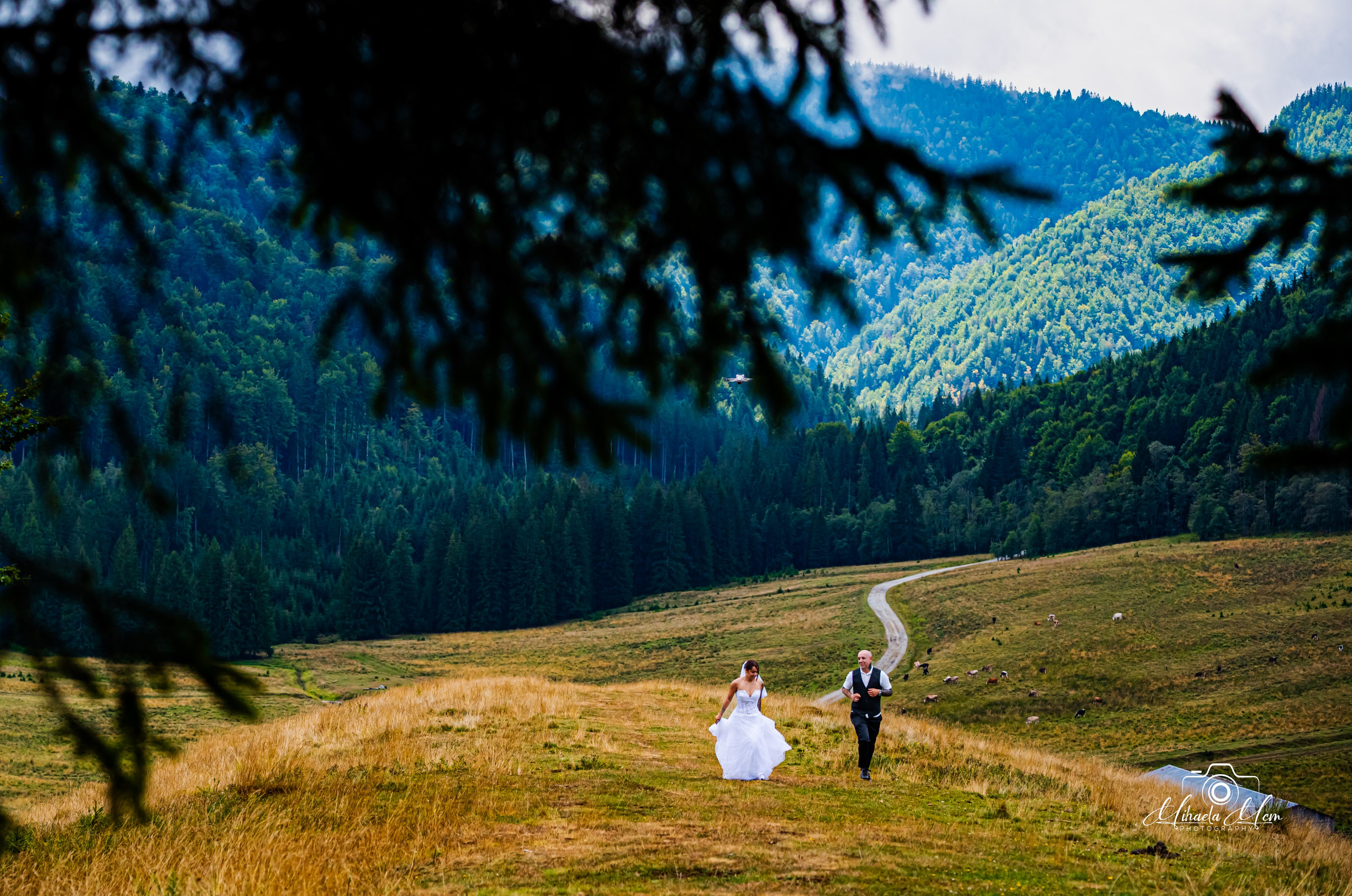 Trash the dress