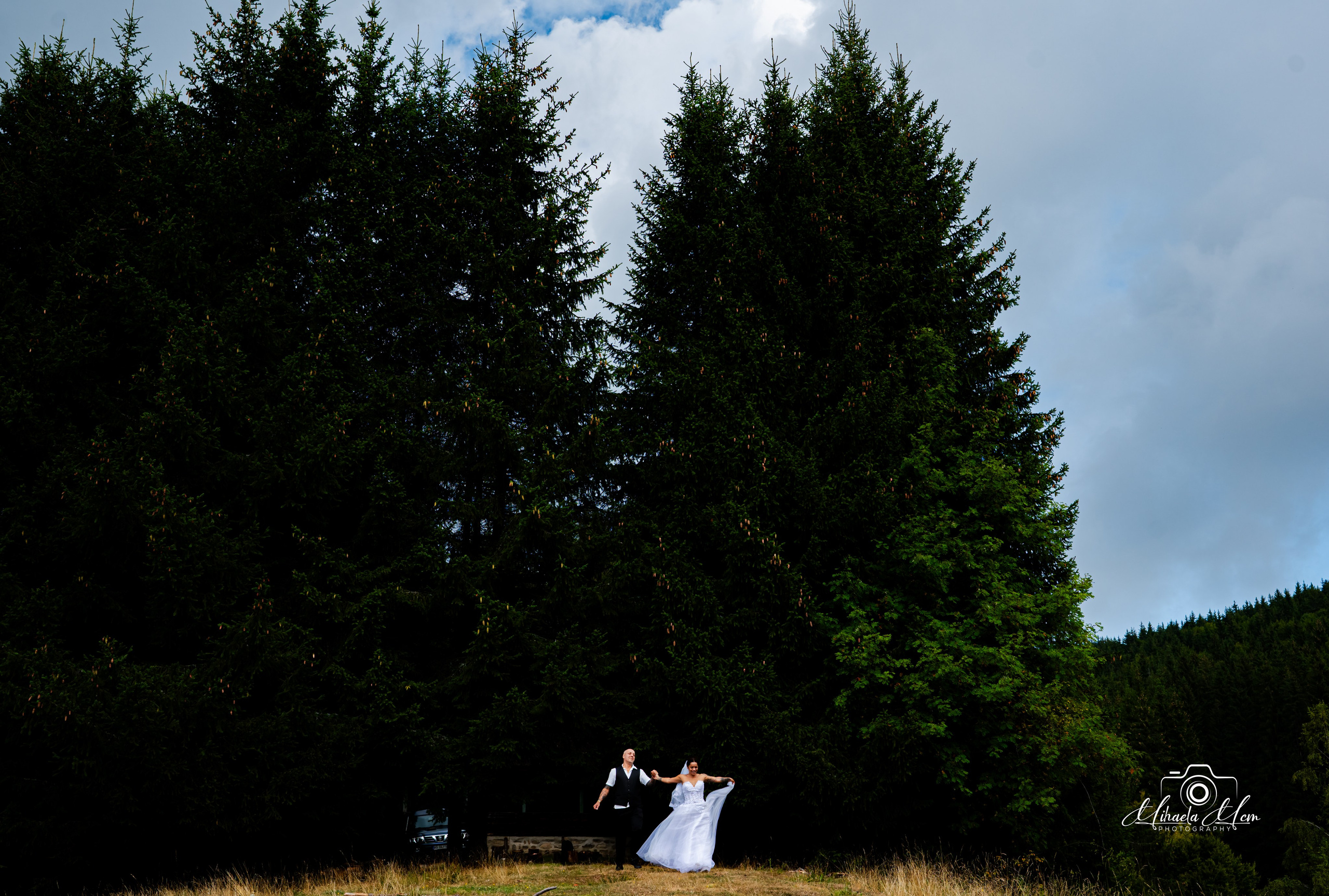 Trash the dress